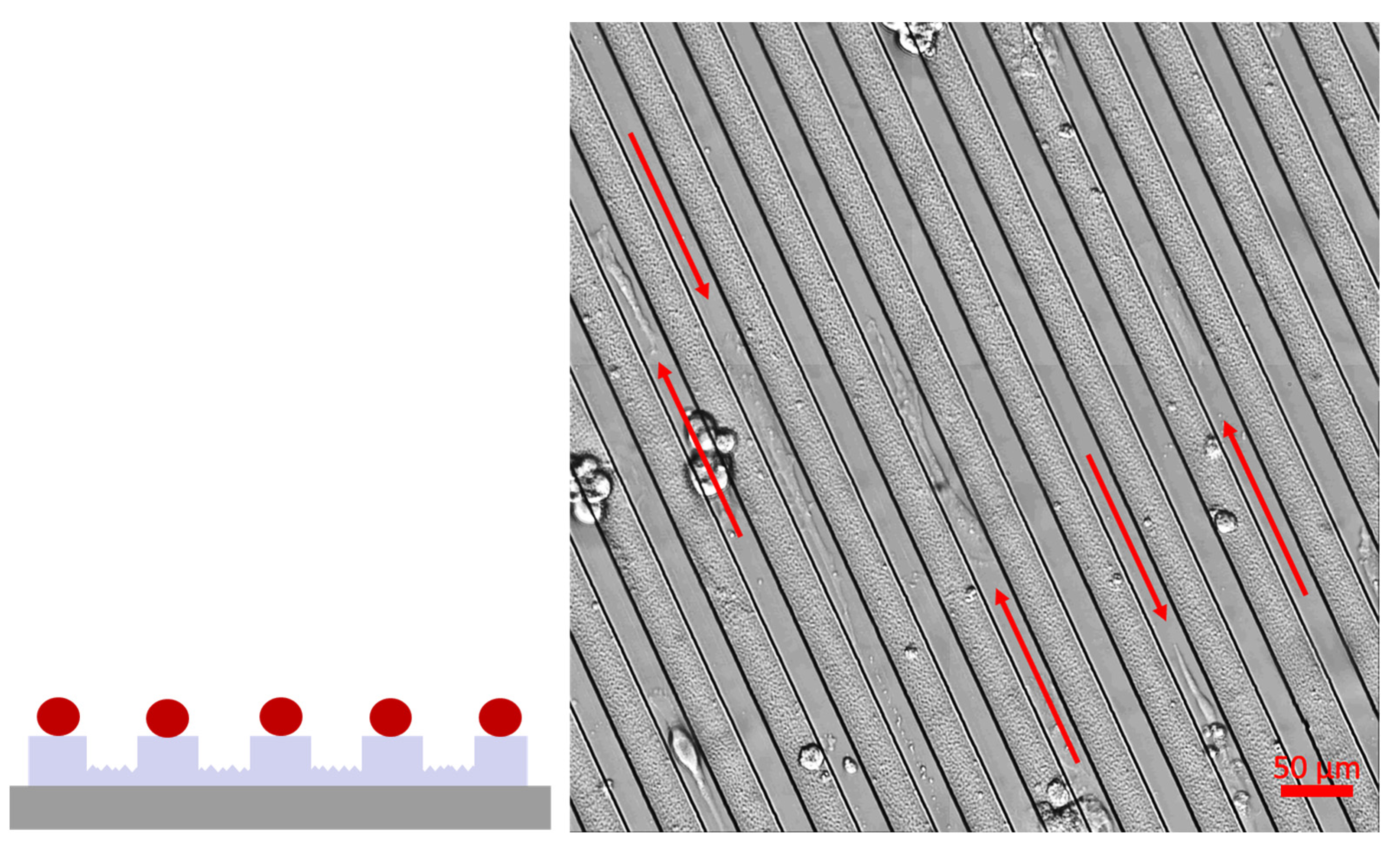 Nanomanufacturing 03 00026 g008