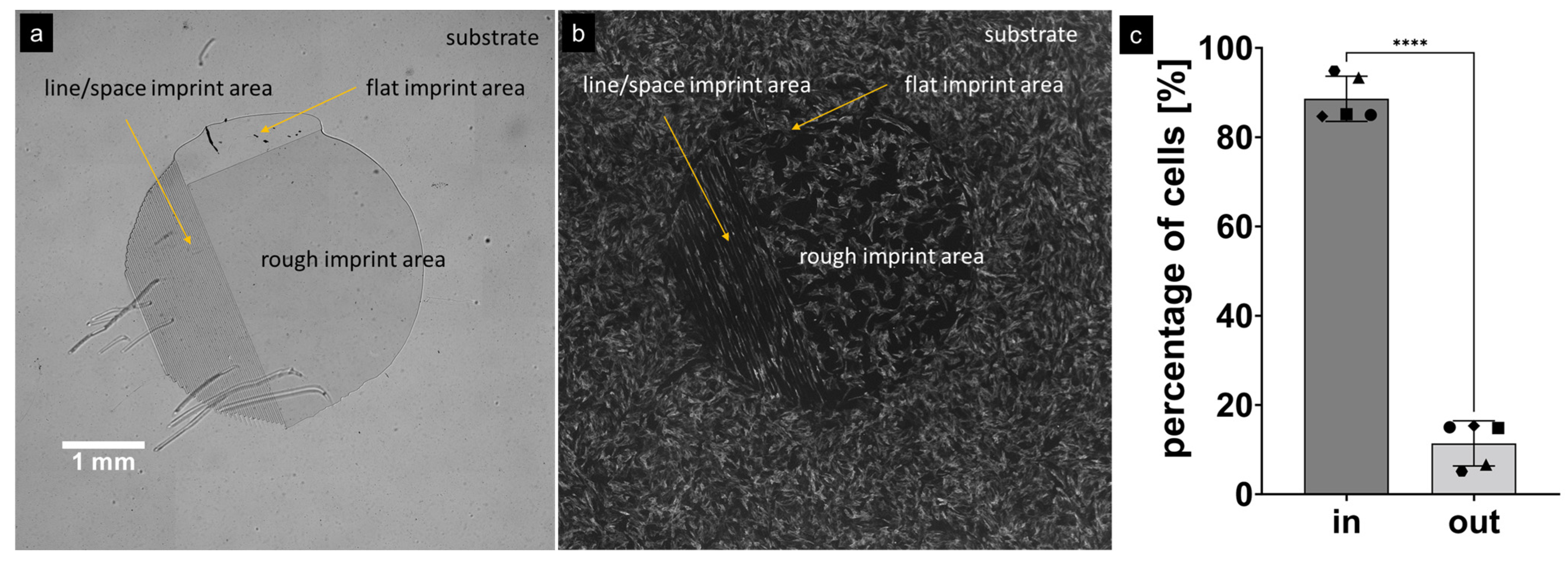 Nanomanufacturing 03 00026 g010