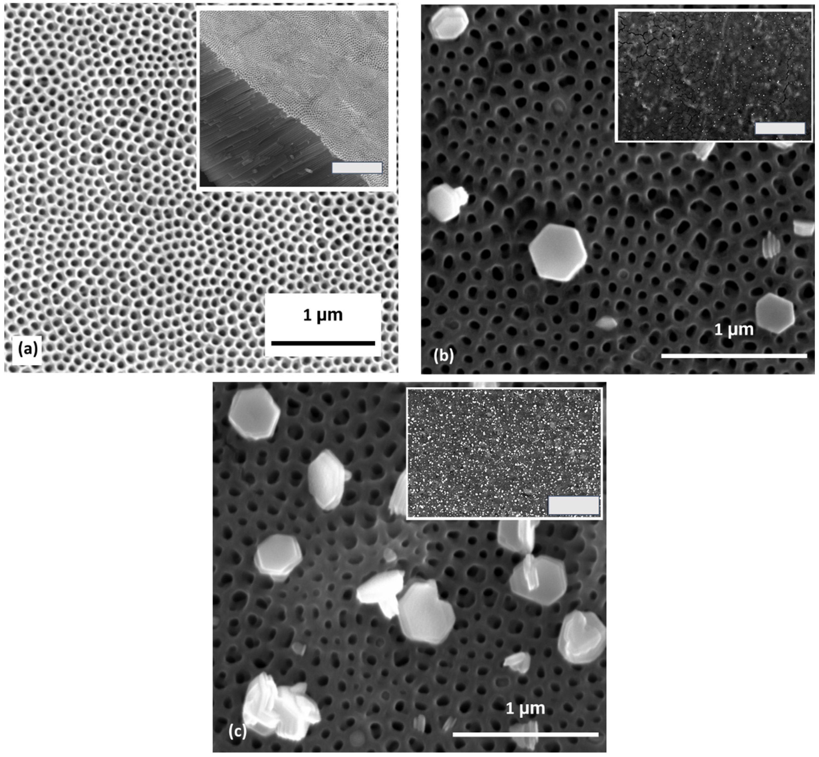 Nanomanufacturing 04 00013 g001