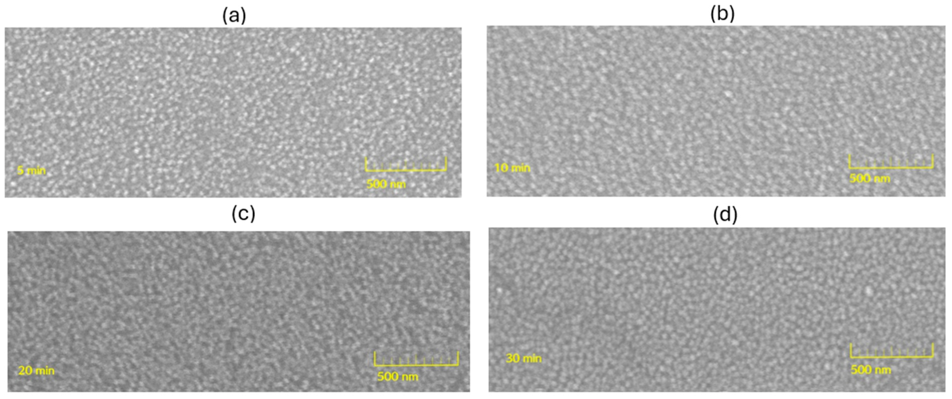 Nanomanufacturing 05 00015 g006 Nanomanufacturing 05 00015 g006