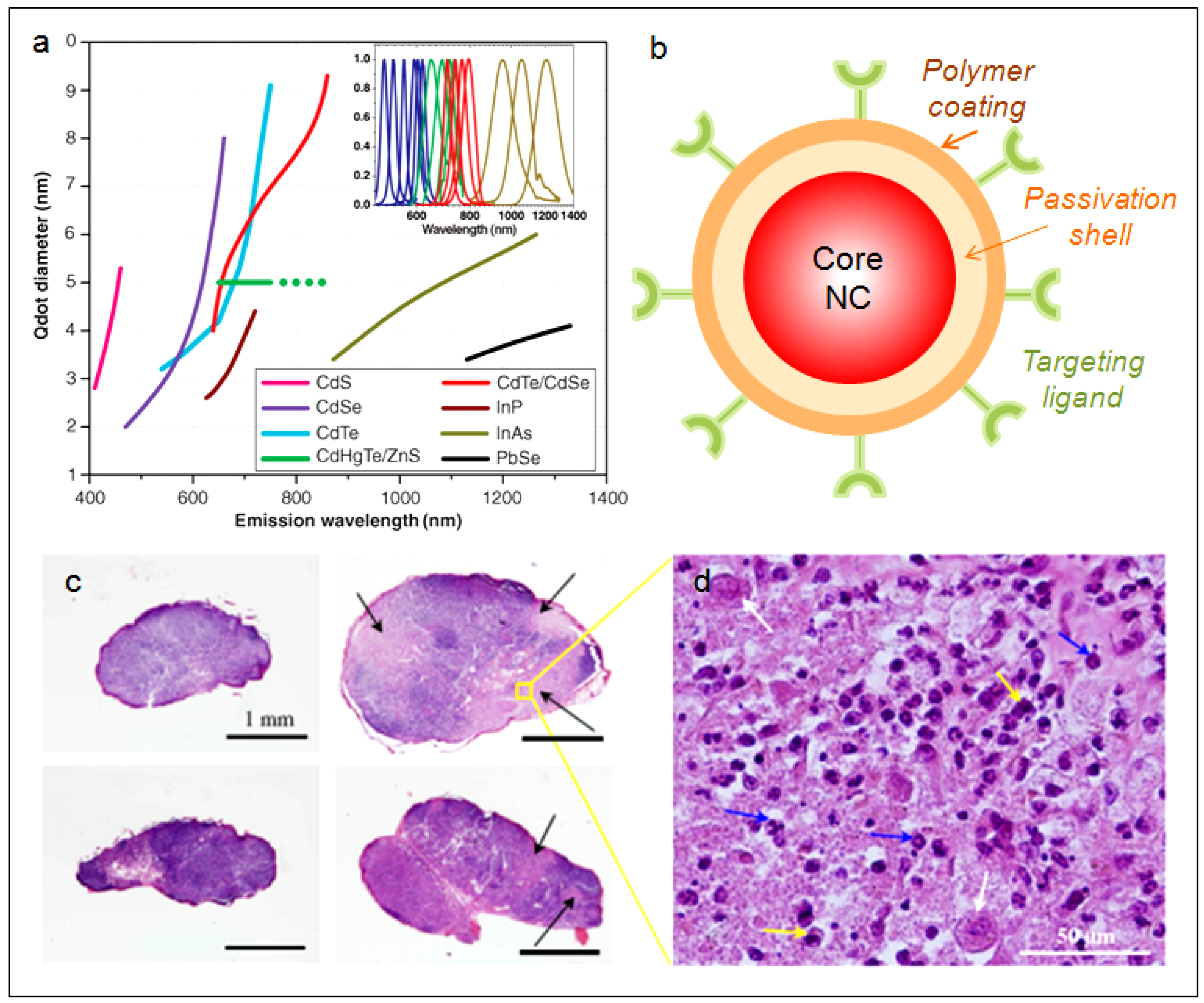 Nanomaterials 02 00092 g005
