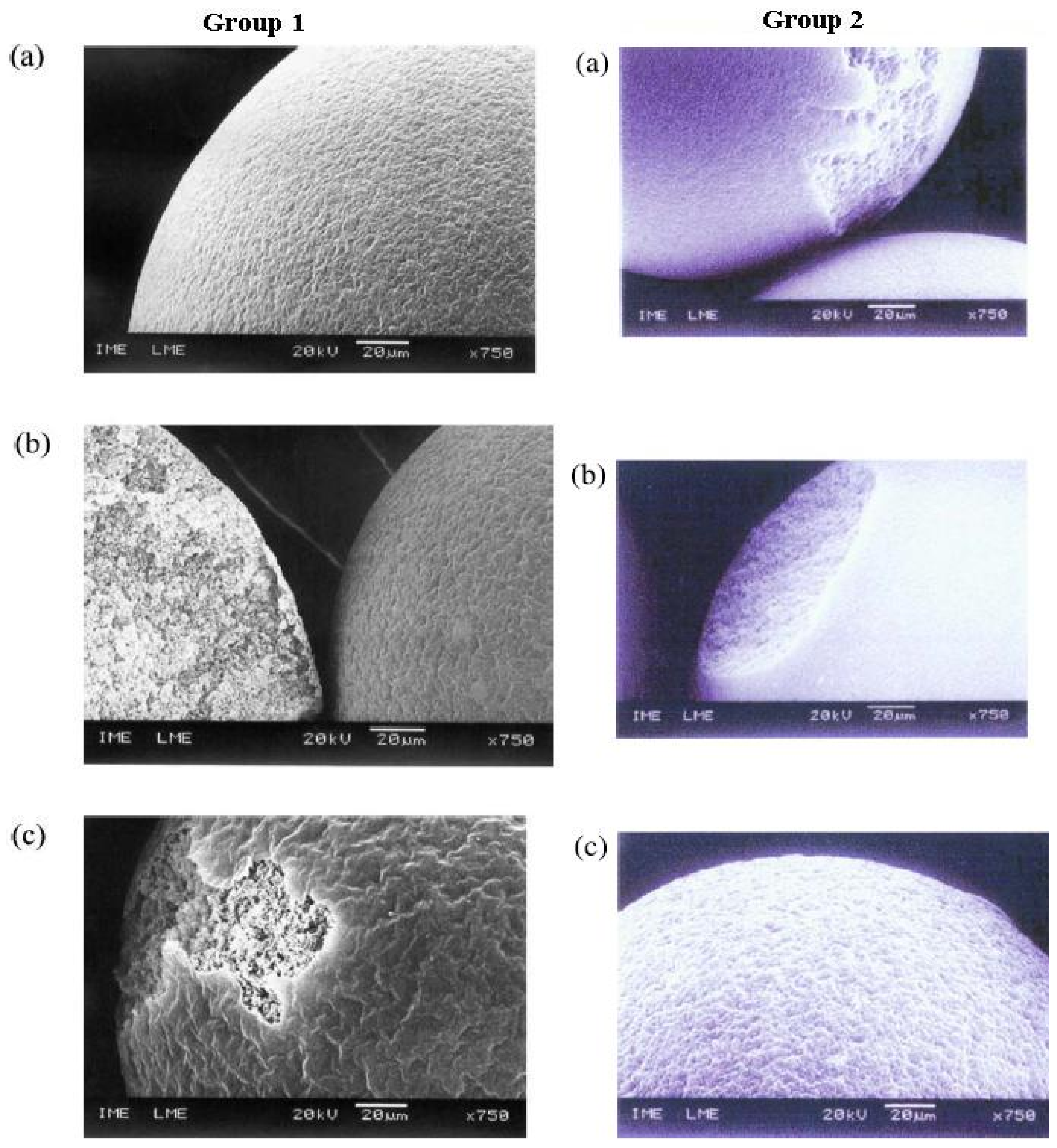 Nanomaterials 02 00163 g009 1024