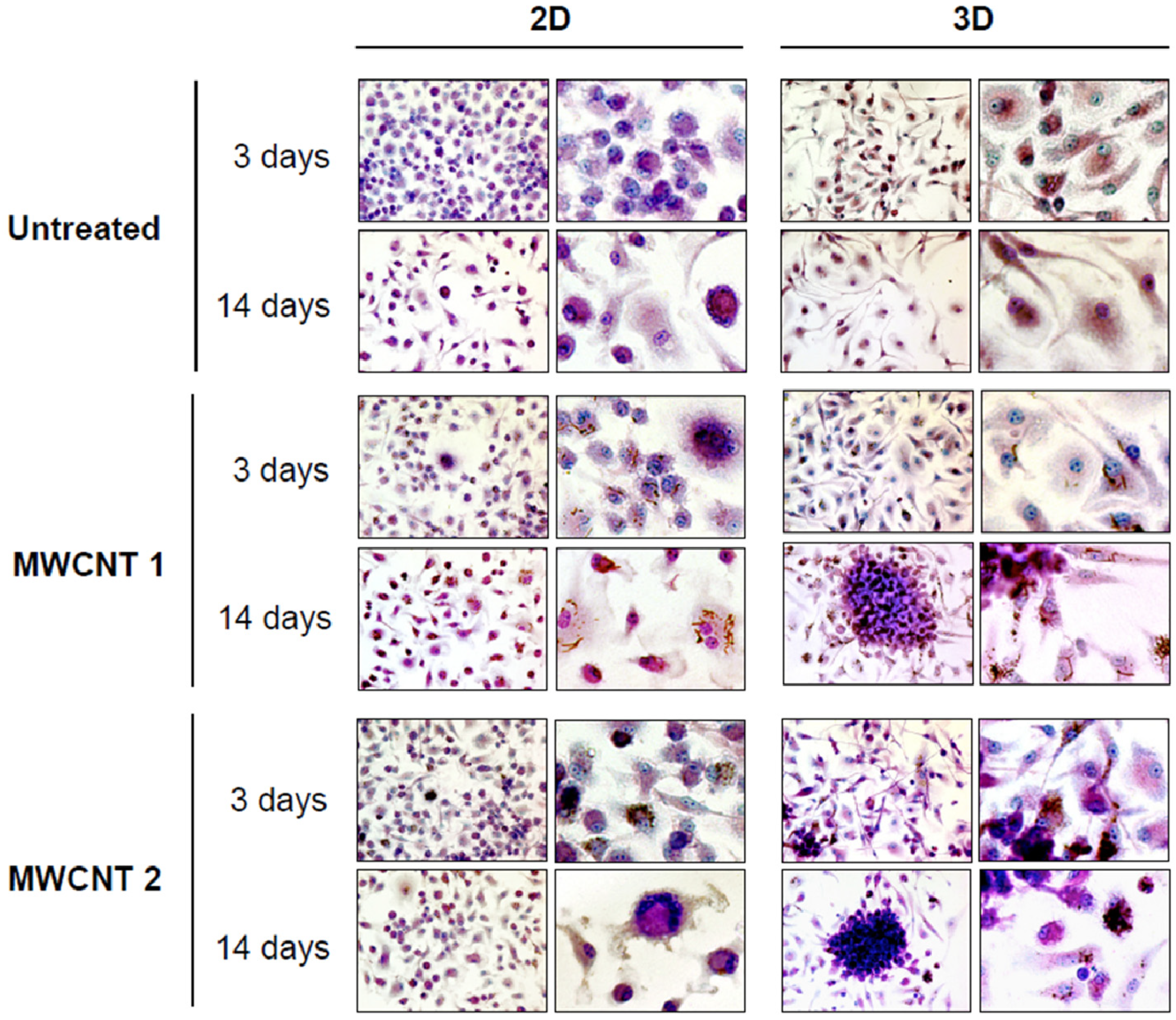 Nanomaterials 04 00454 g001 1024