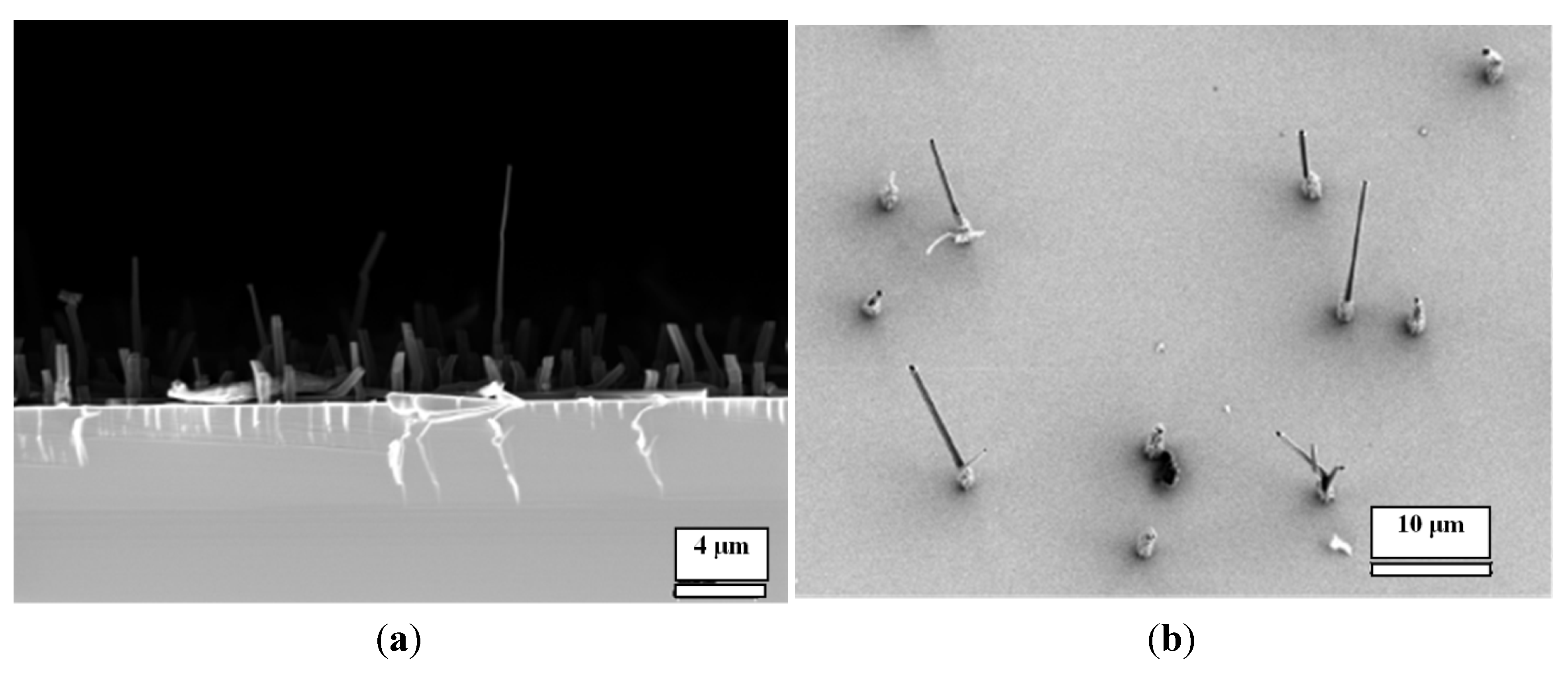 Nanomaterials 04 00768 g005 1024