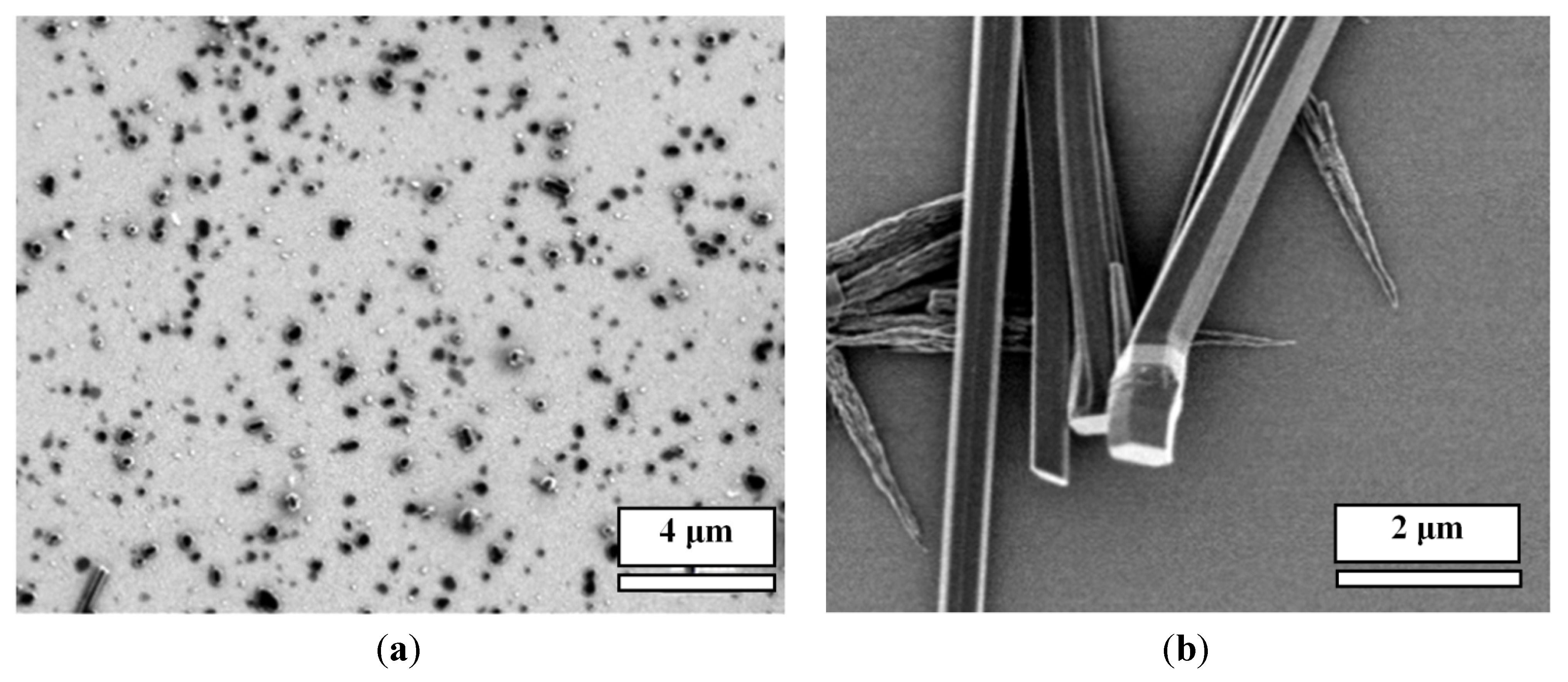 Nanomaterials 04 00768 g006 1024
