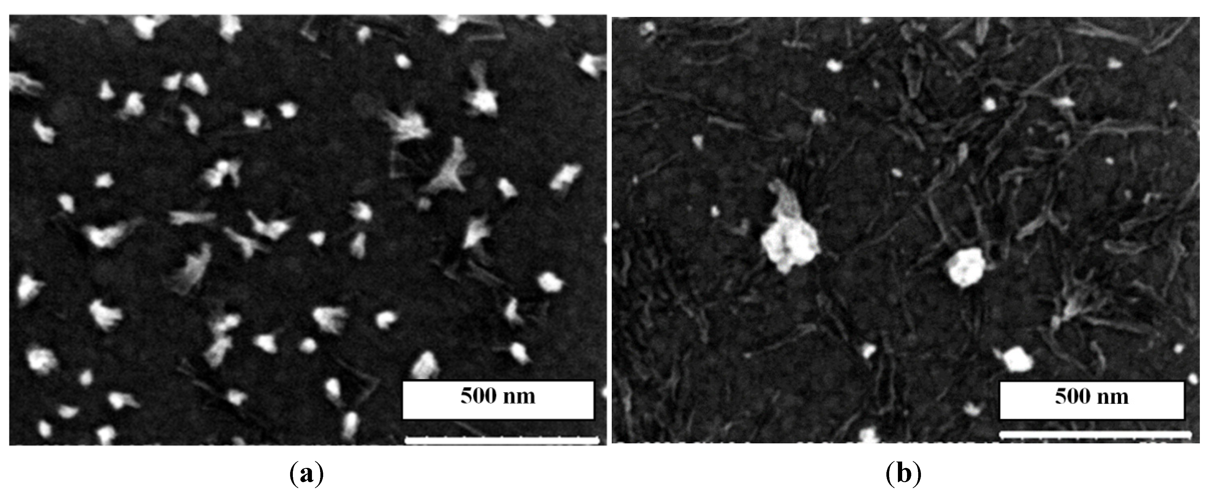 Nanomaterials 04 00768 g007 1024