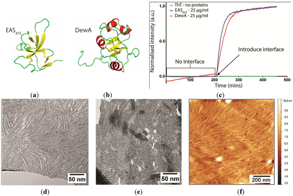 Nanomaterials Free FullText Fungal Hydrophobin Proteins Produce
