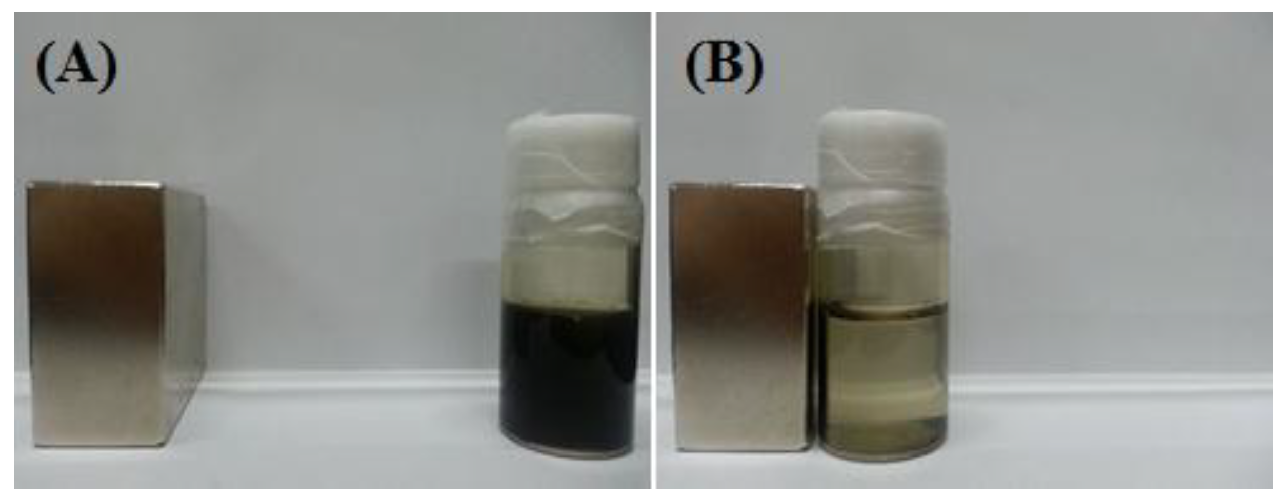 Nanomaterials 04 00894 g005