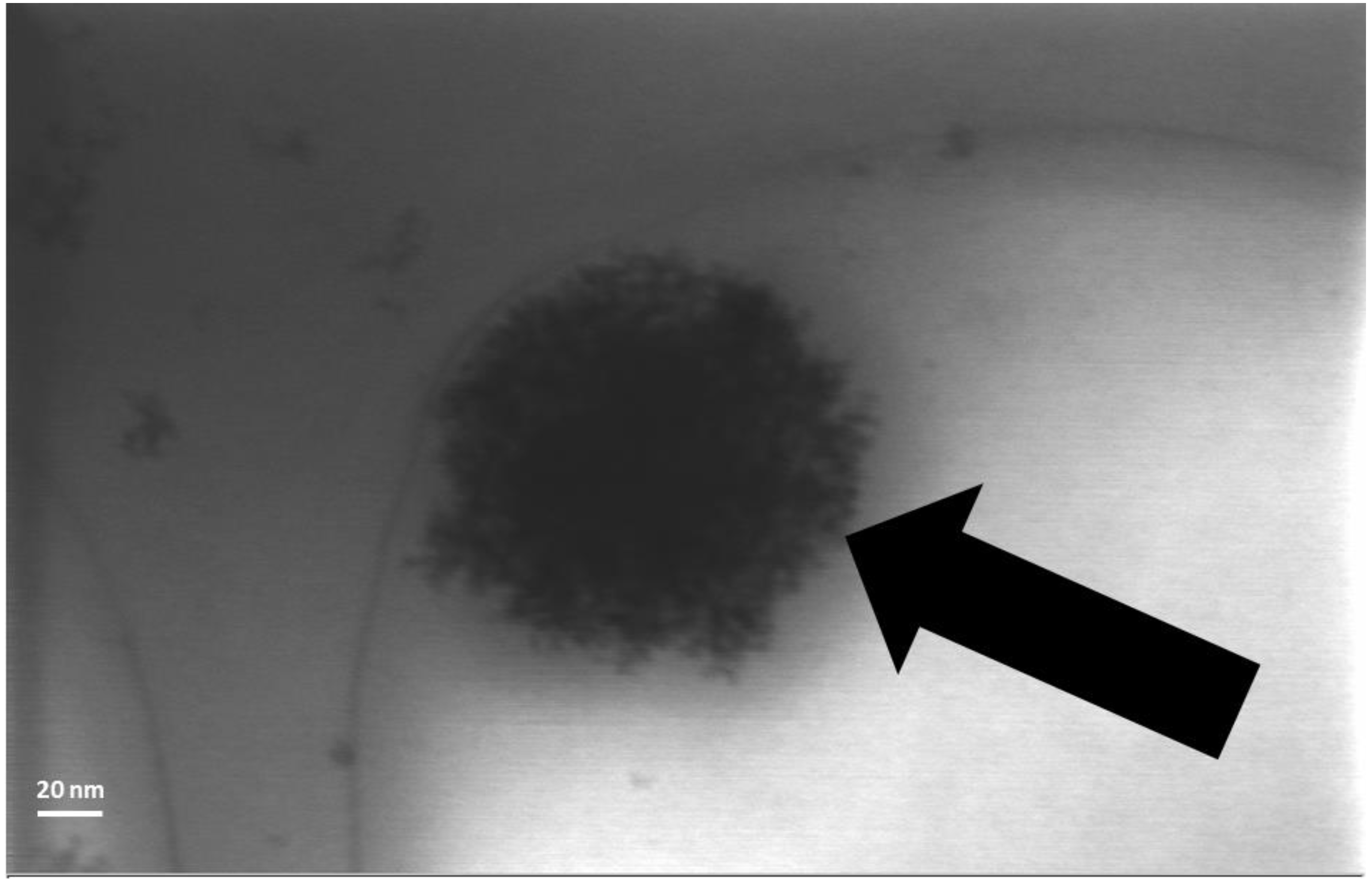Nanomaterials 04 00905 g005
