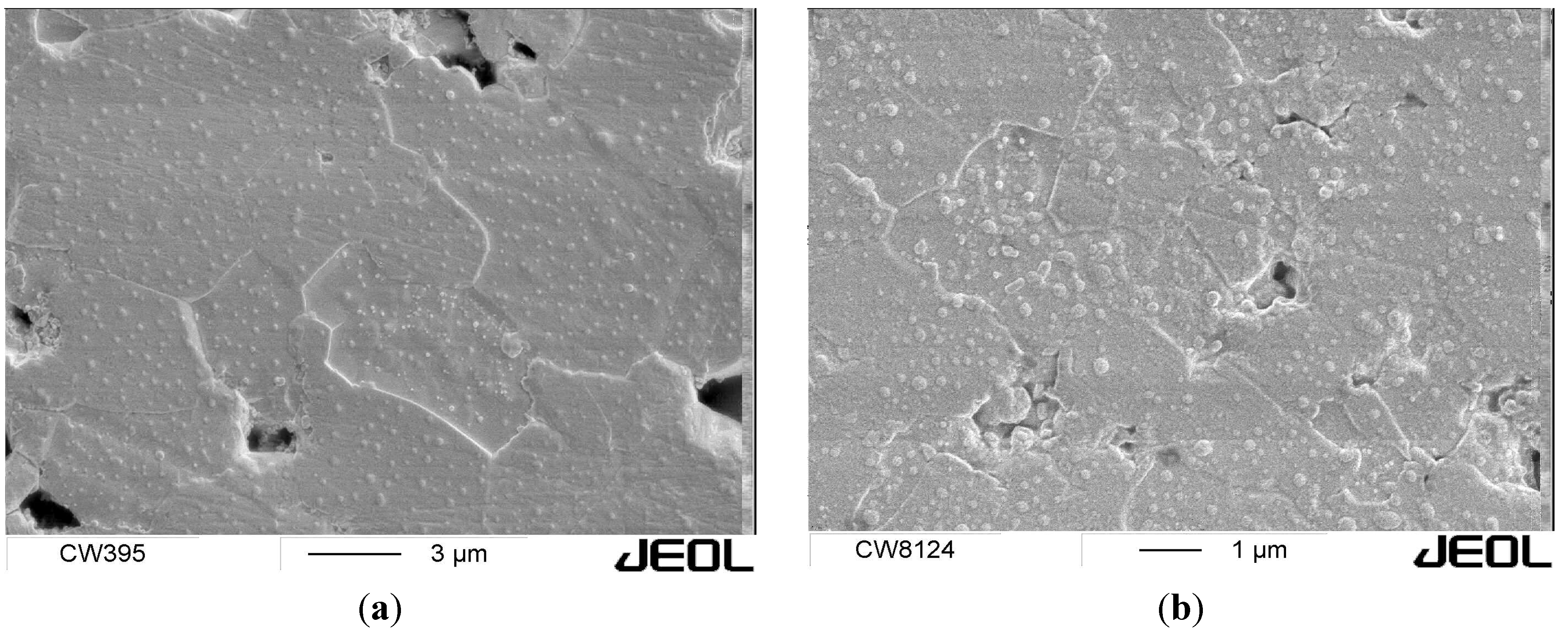 Topological Insulator Film Growth by Molecular Beam Epitaxy