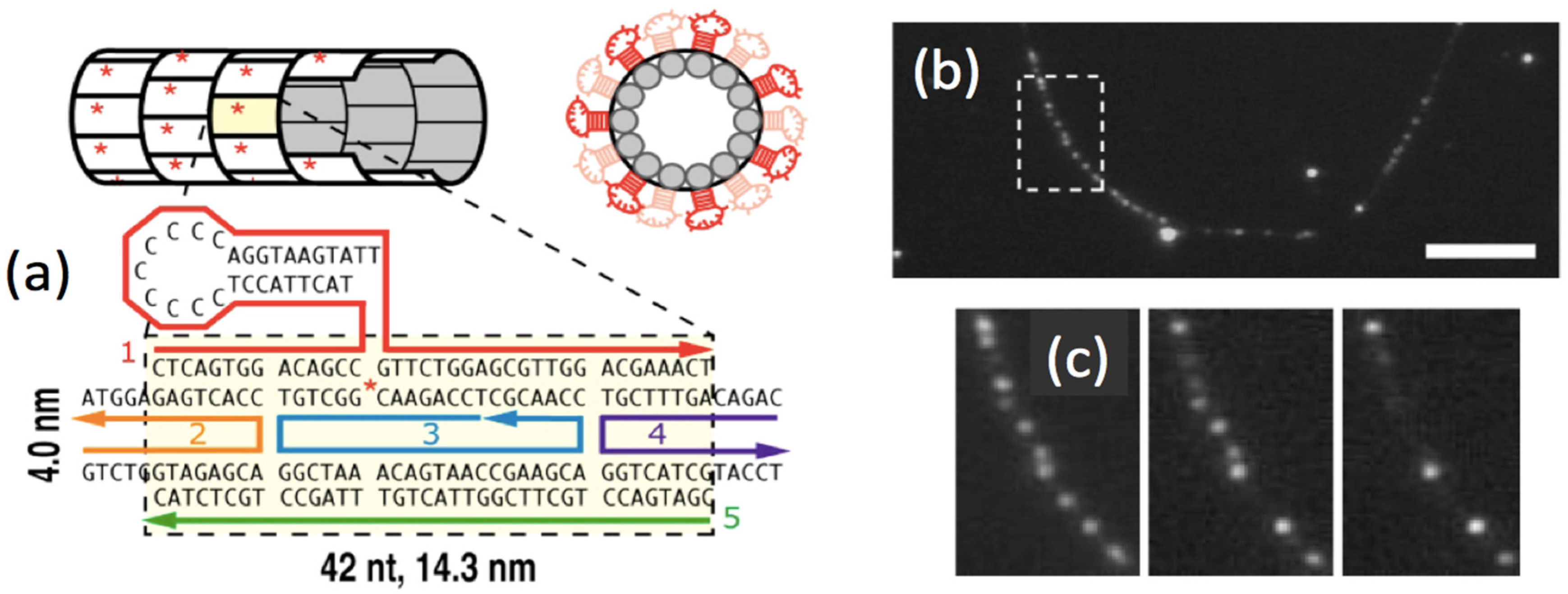 Nanomaterials 05 00180 g010