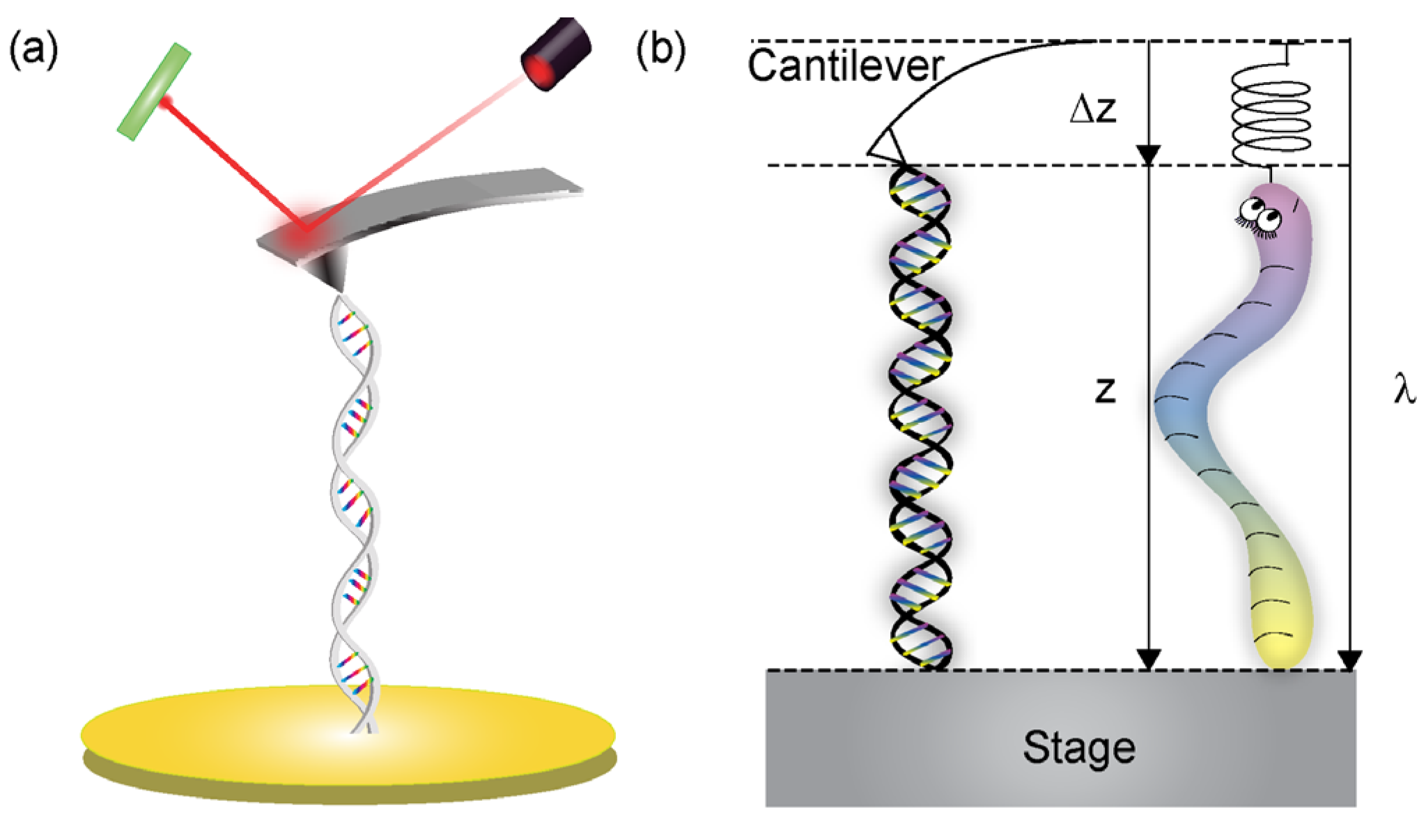 Nanomaterials 05 00246 g001