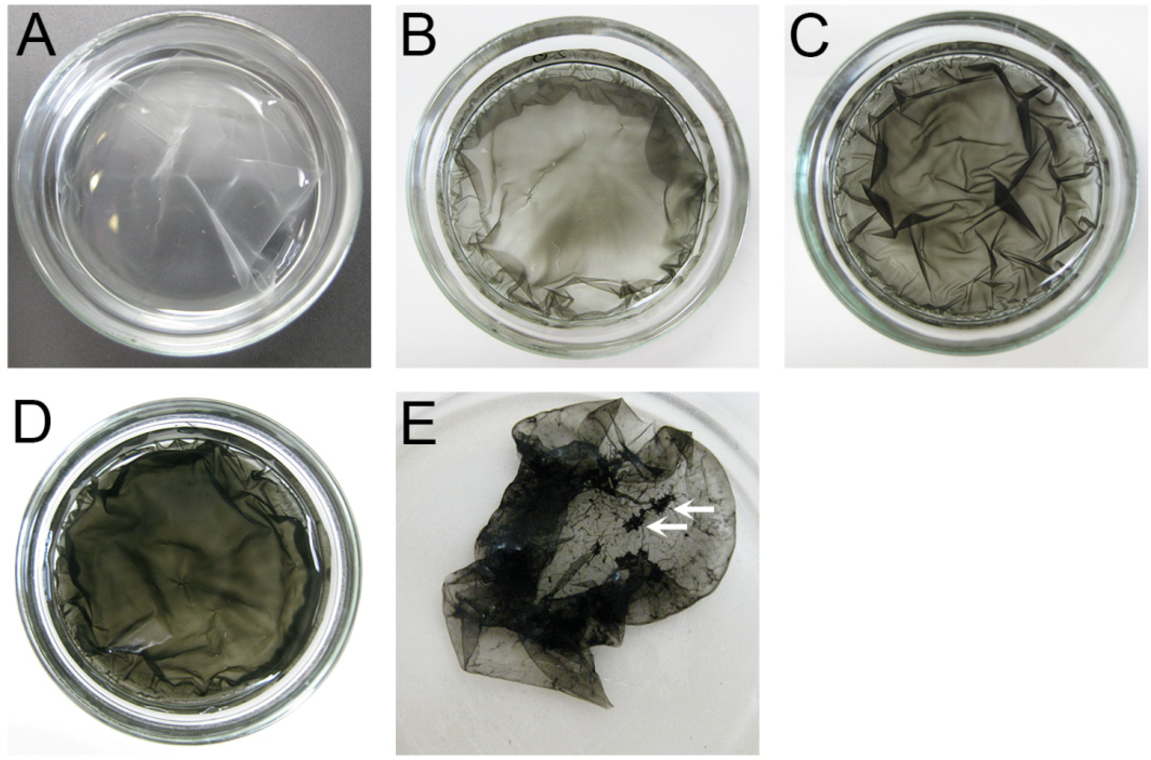 Nanomaterials 05 00270 g003 1024