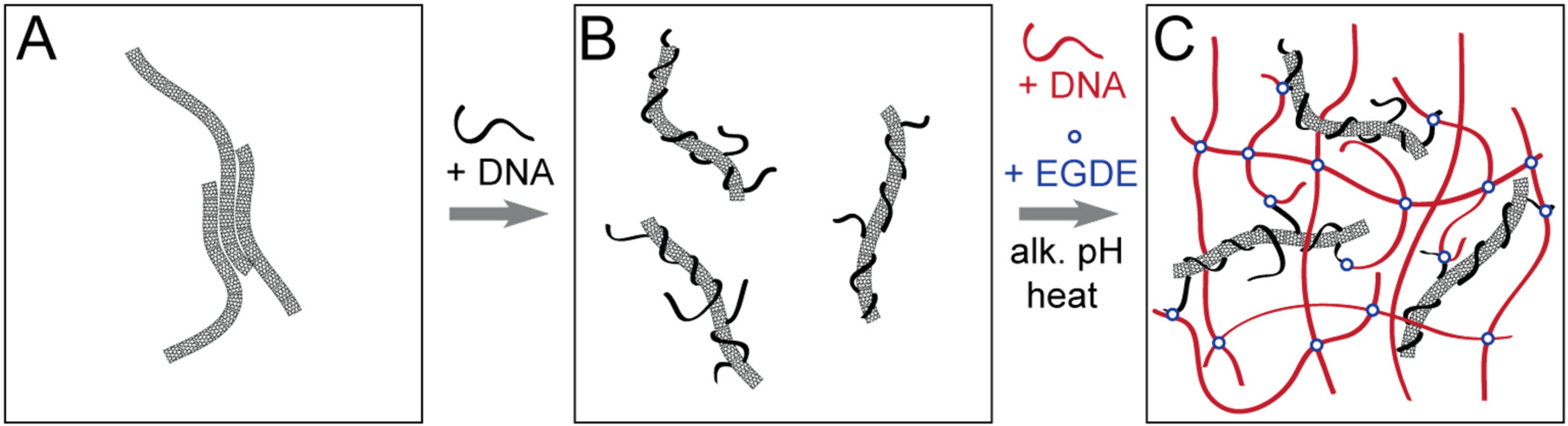 Nanomaterials 05 00270 g006 1024