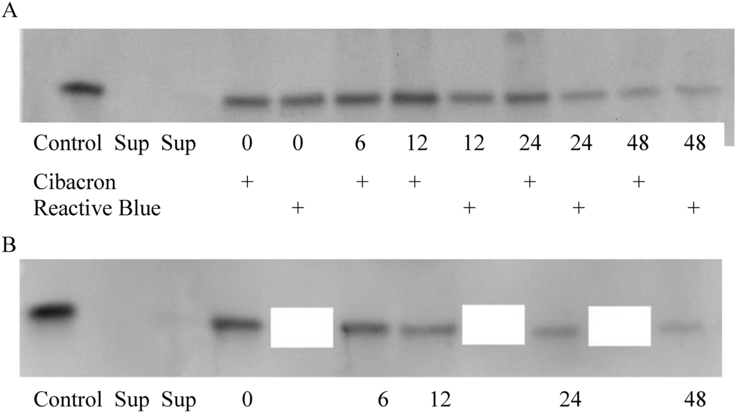 Nanomaterials 05 00298 g011a 1024