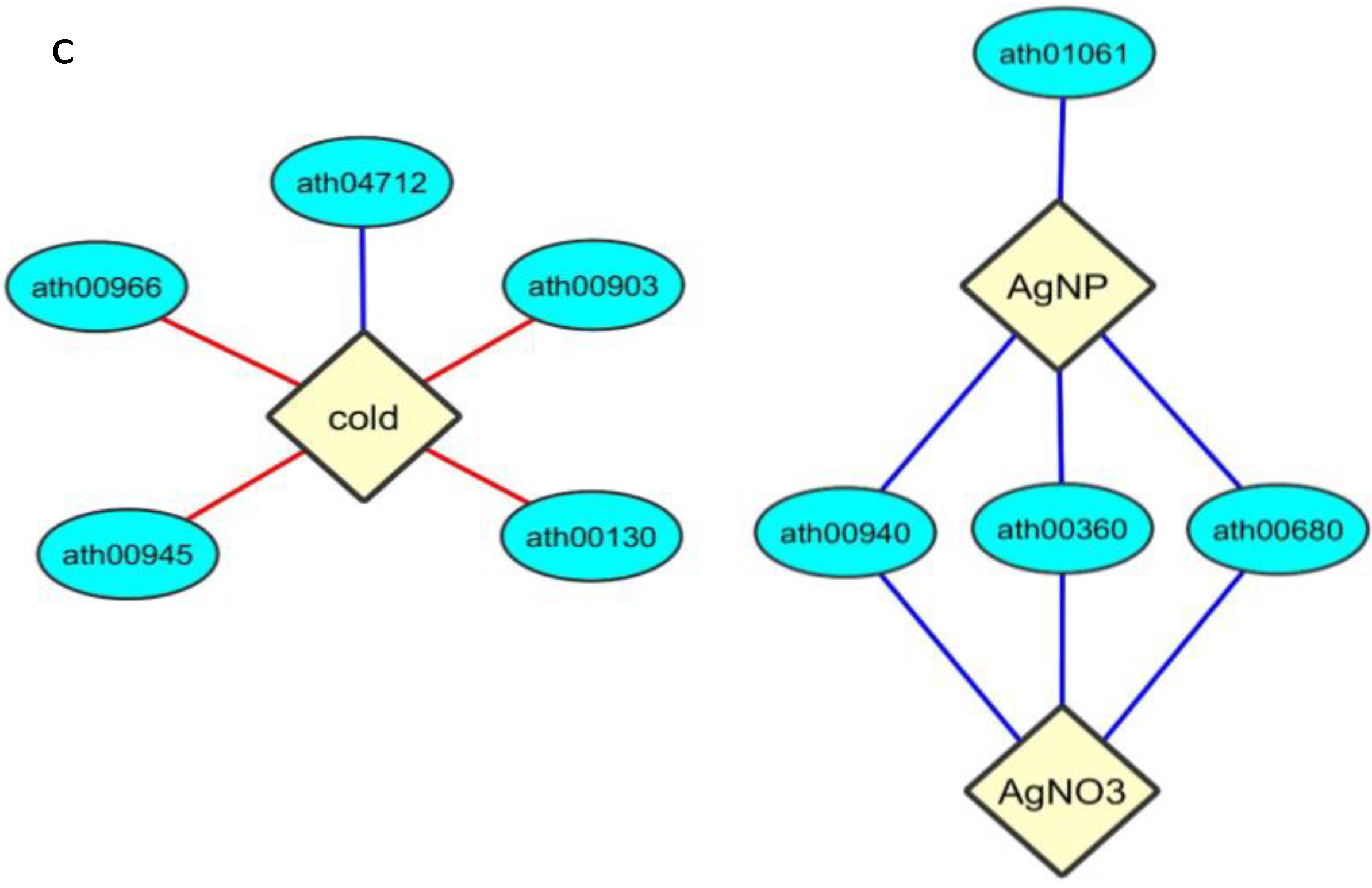 Nanomaterials 05 00436 g004b