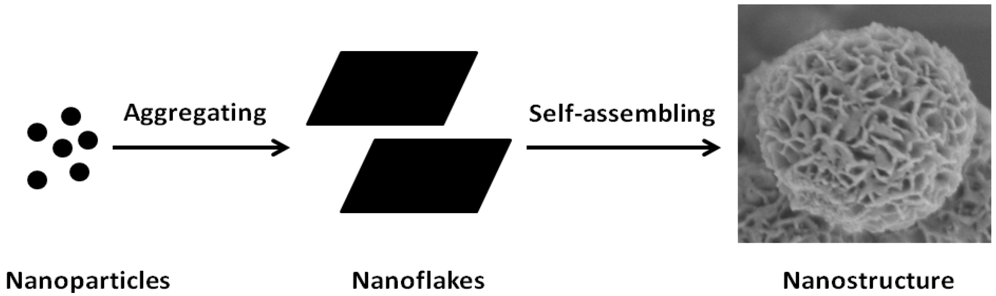 Nanomaterials 05 00554 g005