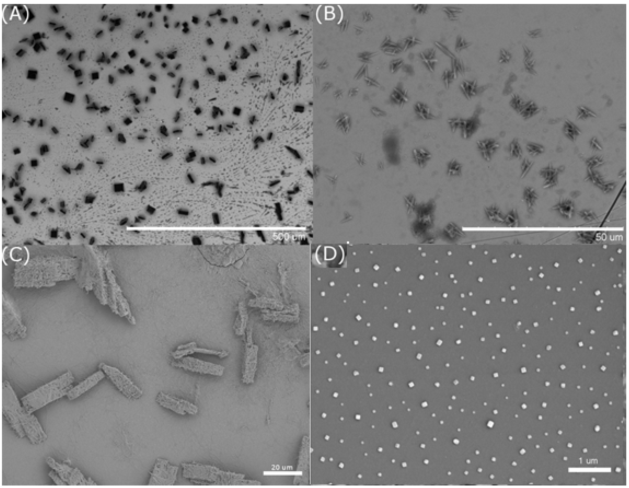 Nanomaterials 05 00565 g002 1024