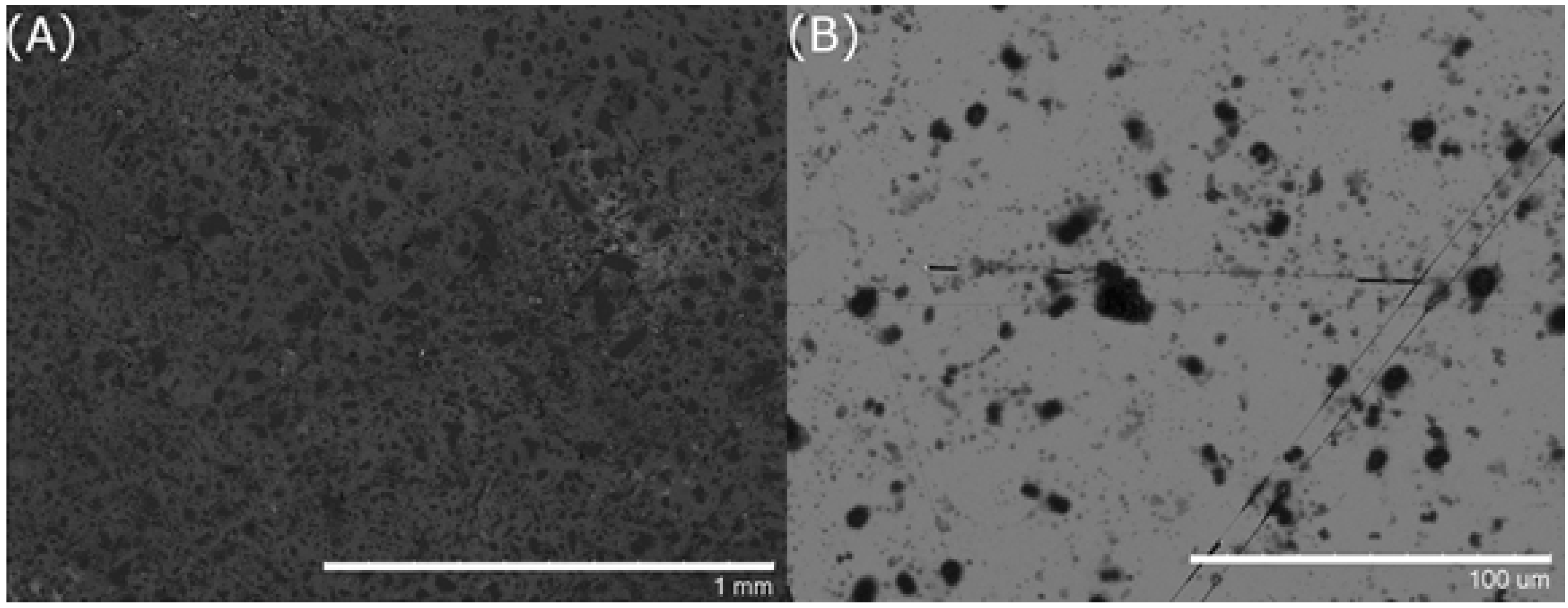 Nanomaterials 05 00565 g003 1024