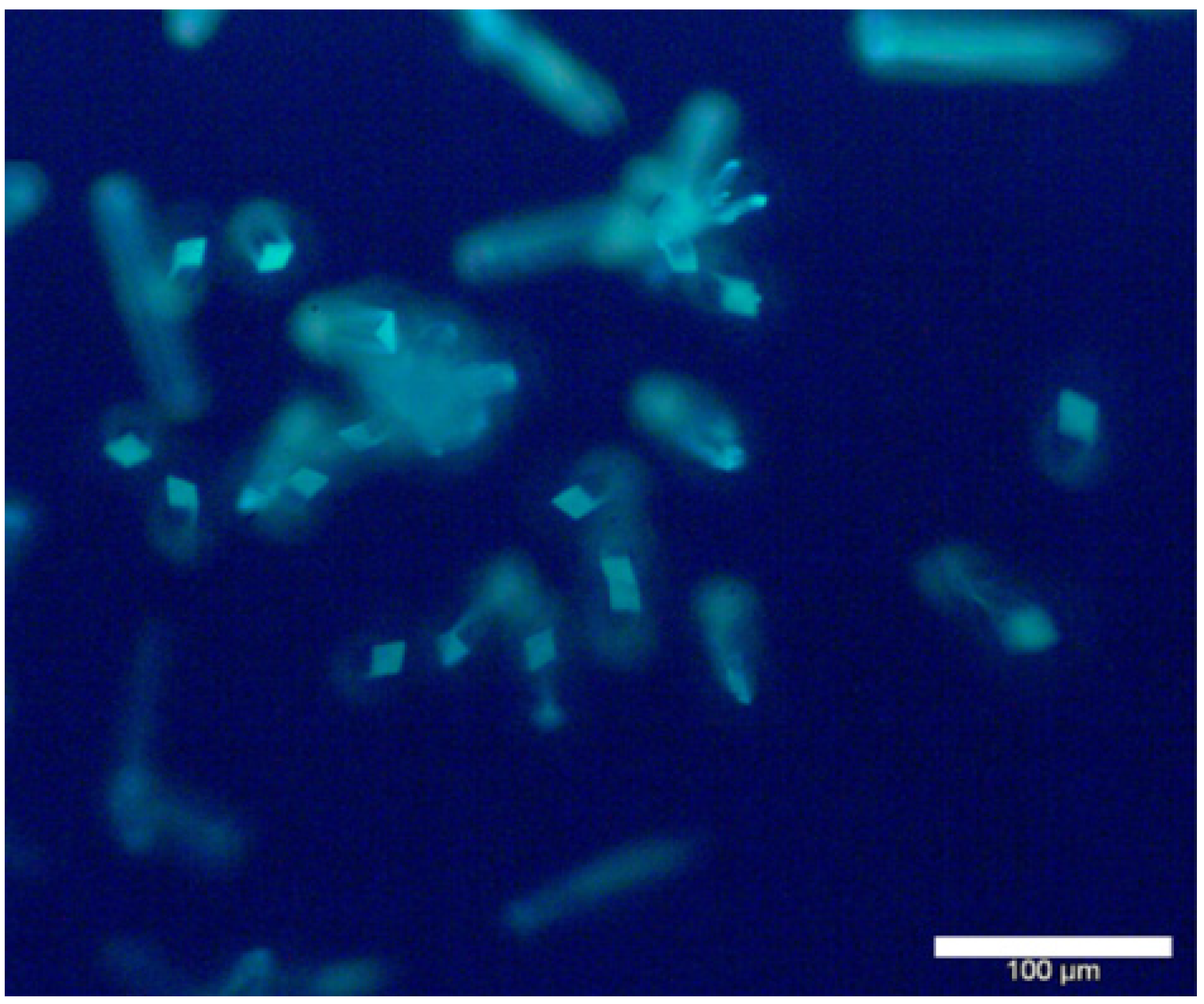 Nanomaterials 05 00565 g007 1024