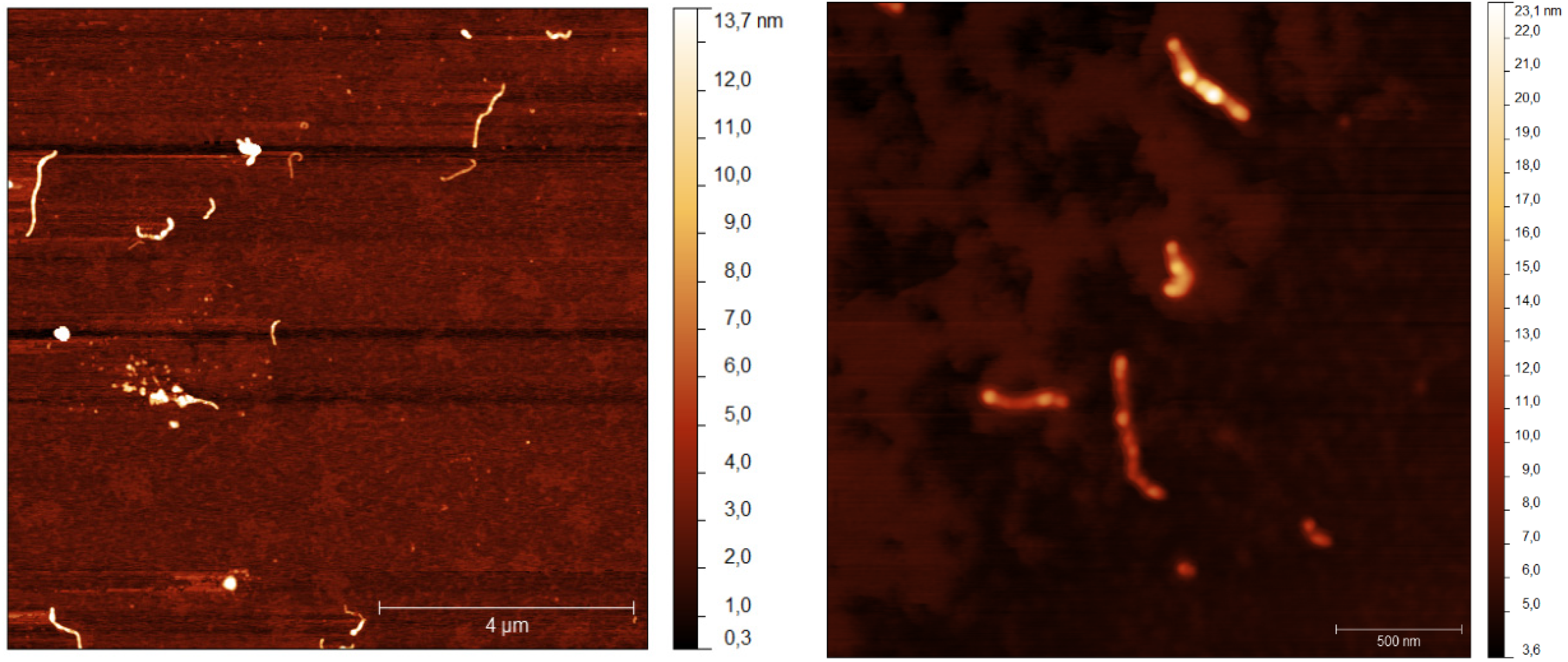 Nanomaterials 05 00722 g006