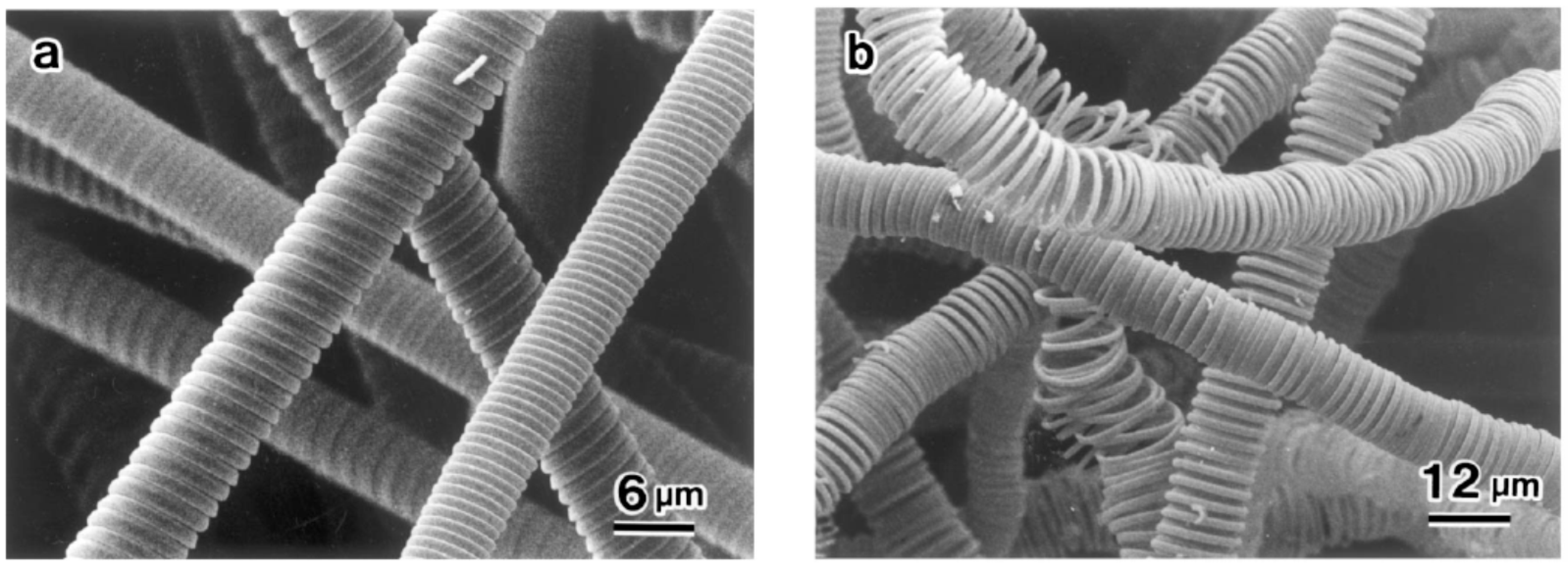 Nanomaterials 05 00937 g006