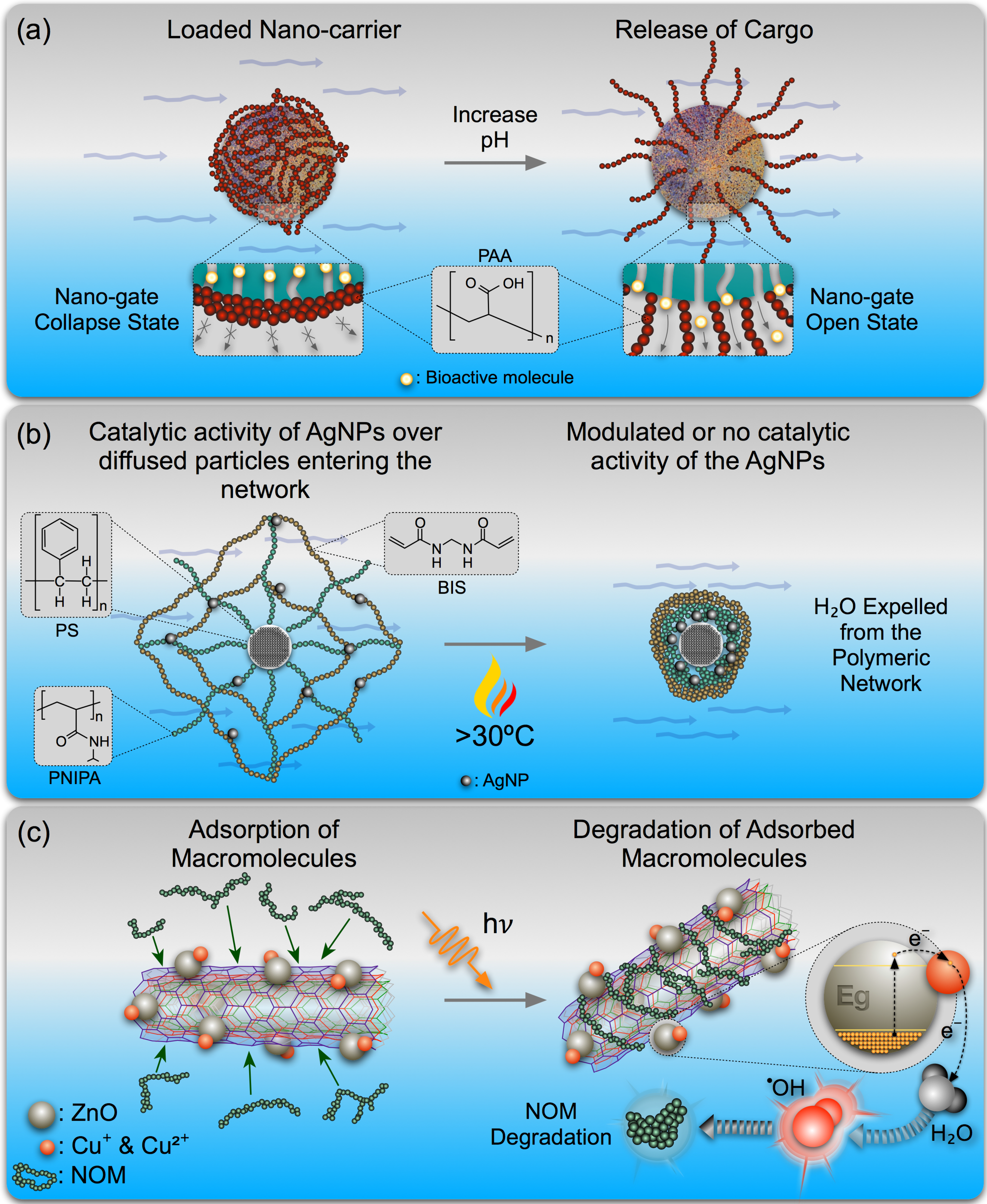 Nanomaterials 05 01102 g001