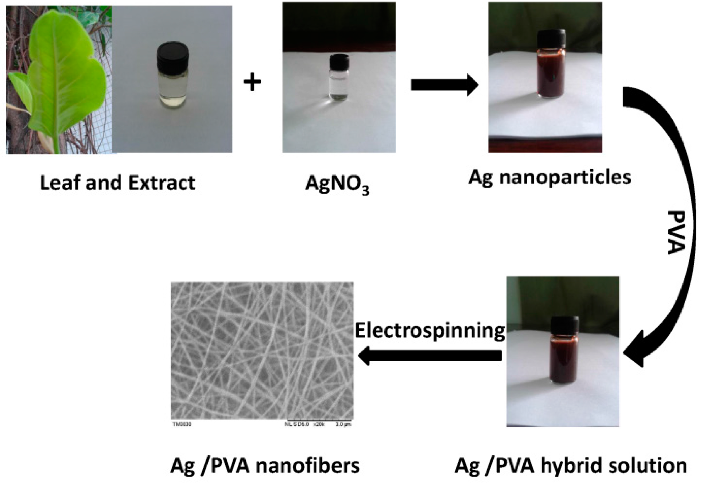 Nanomaterials 05 01124 g001 1024