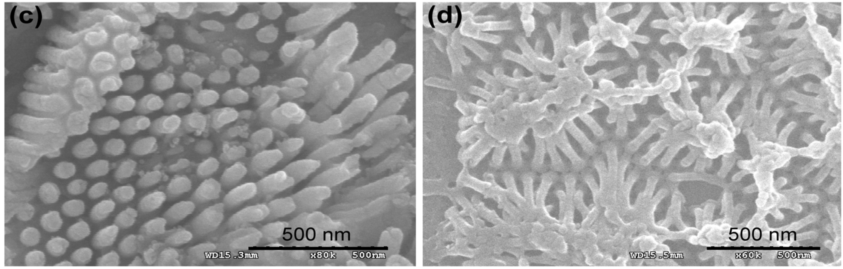 Nanomaterials 05 01181 g002b