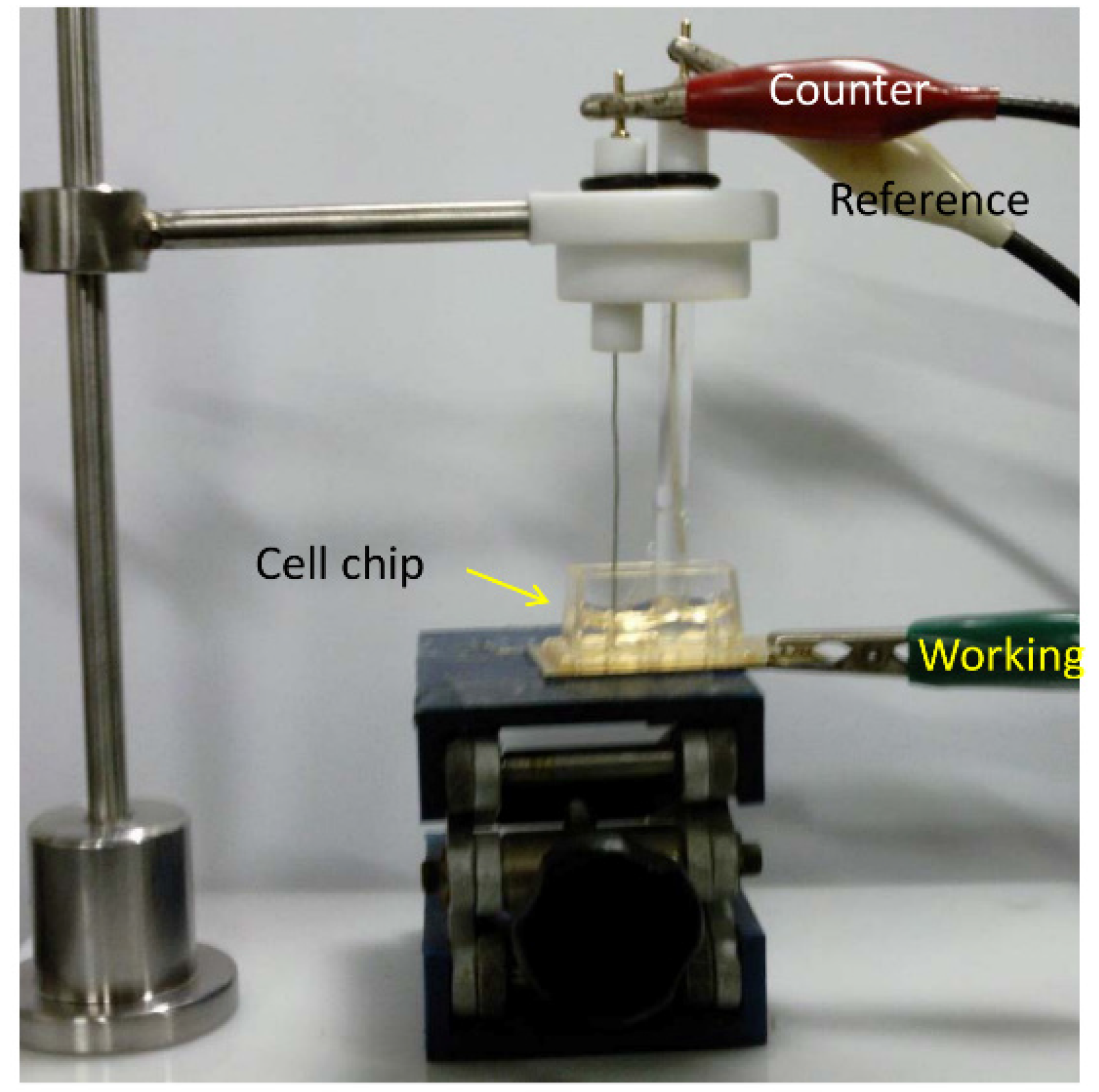 Nanomaterials 05 01181 g004
