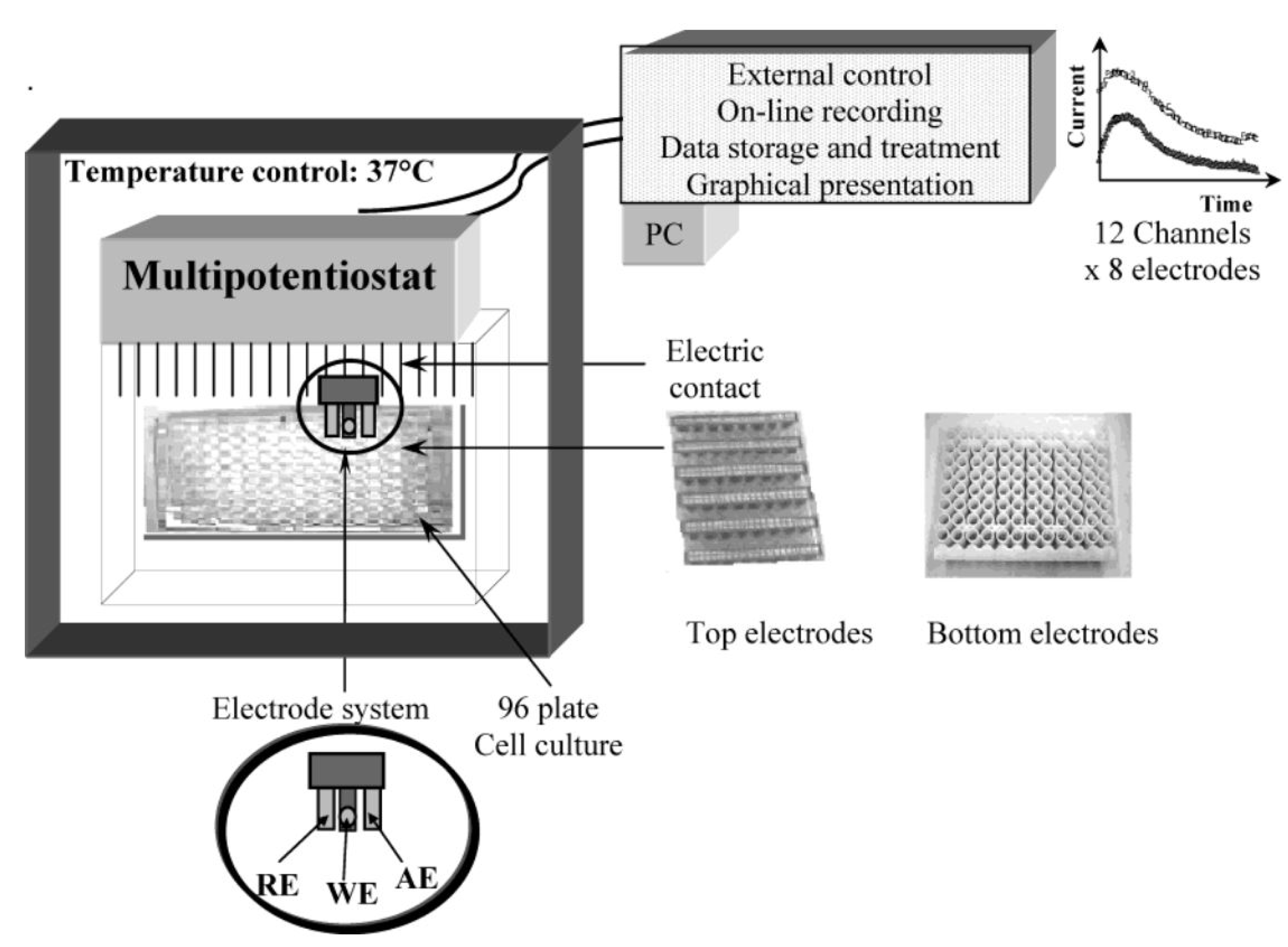 Nanomaterials 05 01181 g007