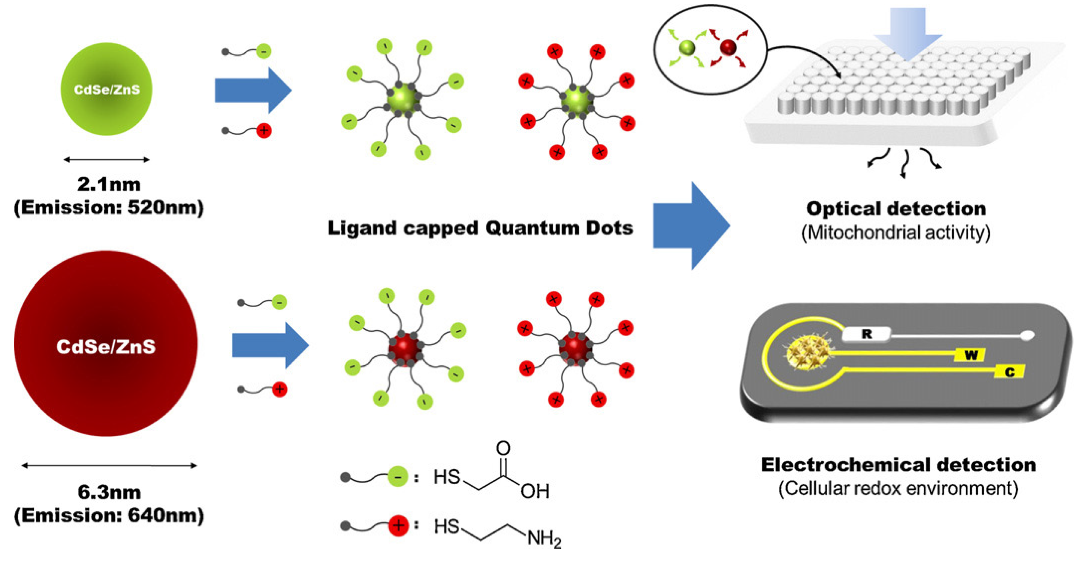 Nanomaterials 05 01181 g008