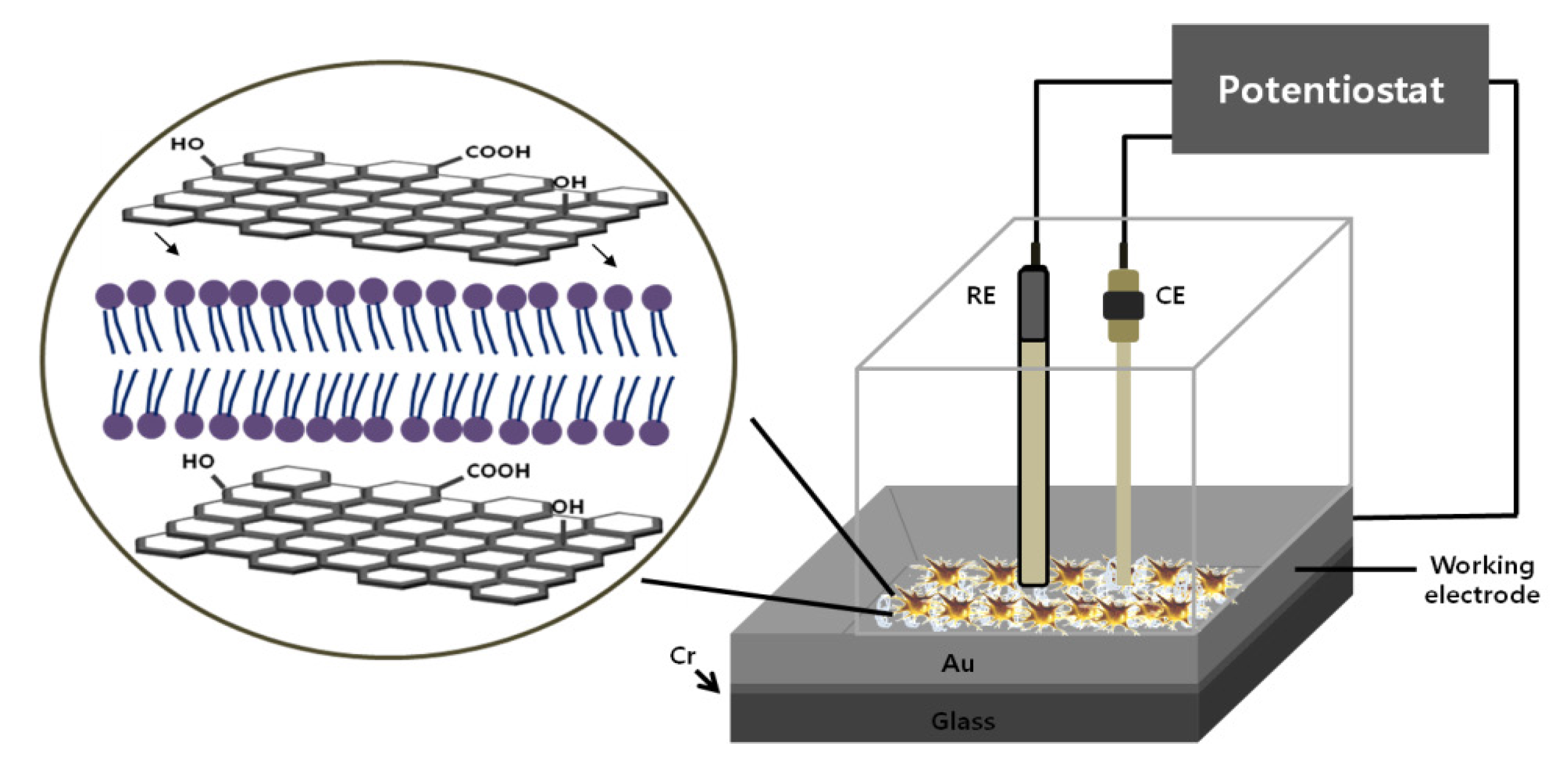 Nanomaterials 05 01181 g010