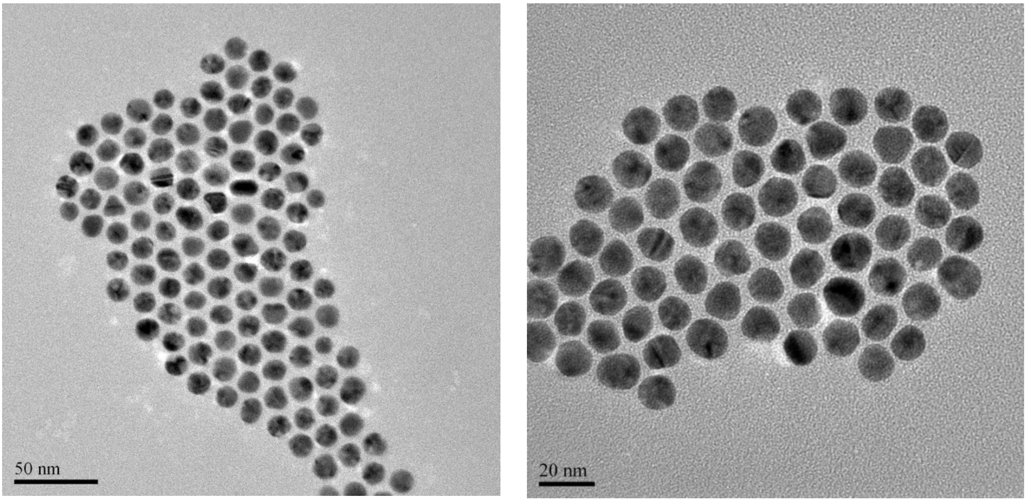 Nanomaterials 05 01211 g003 1024