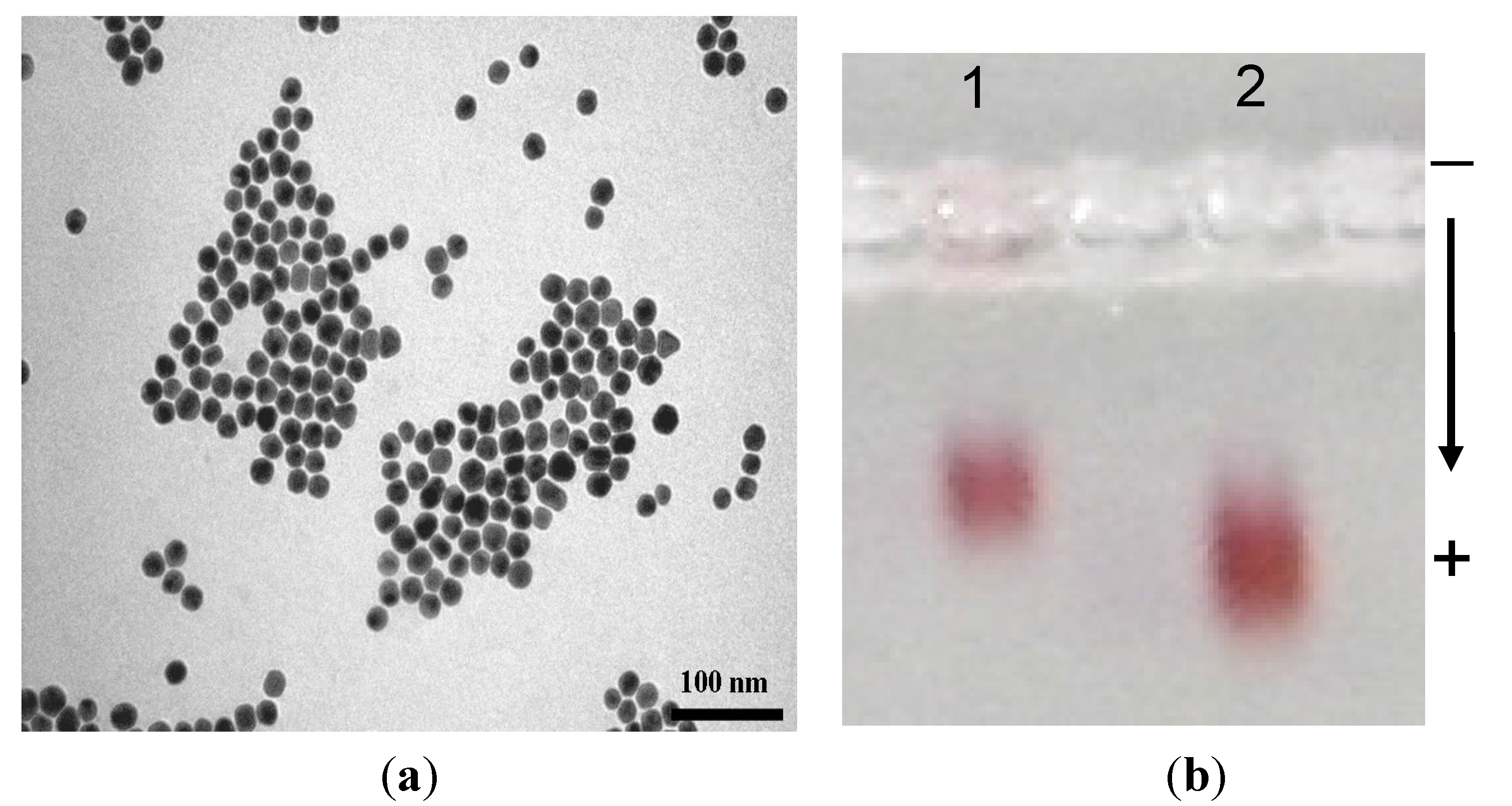 Nanomaterials 05 01211 g004 1024