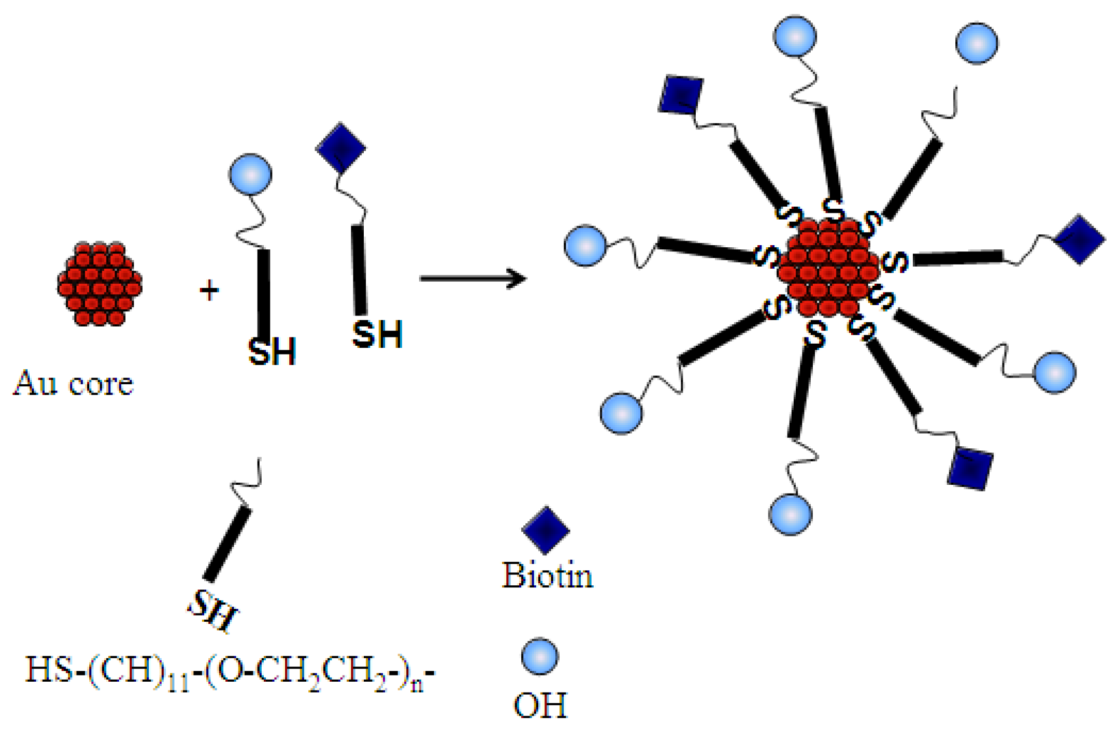 Nanomaterials 05 01211 g006 1024