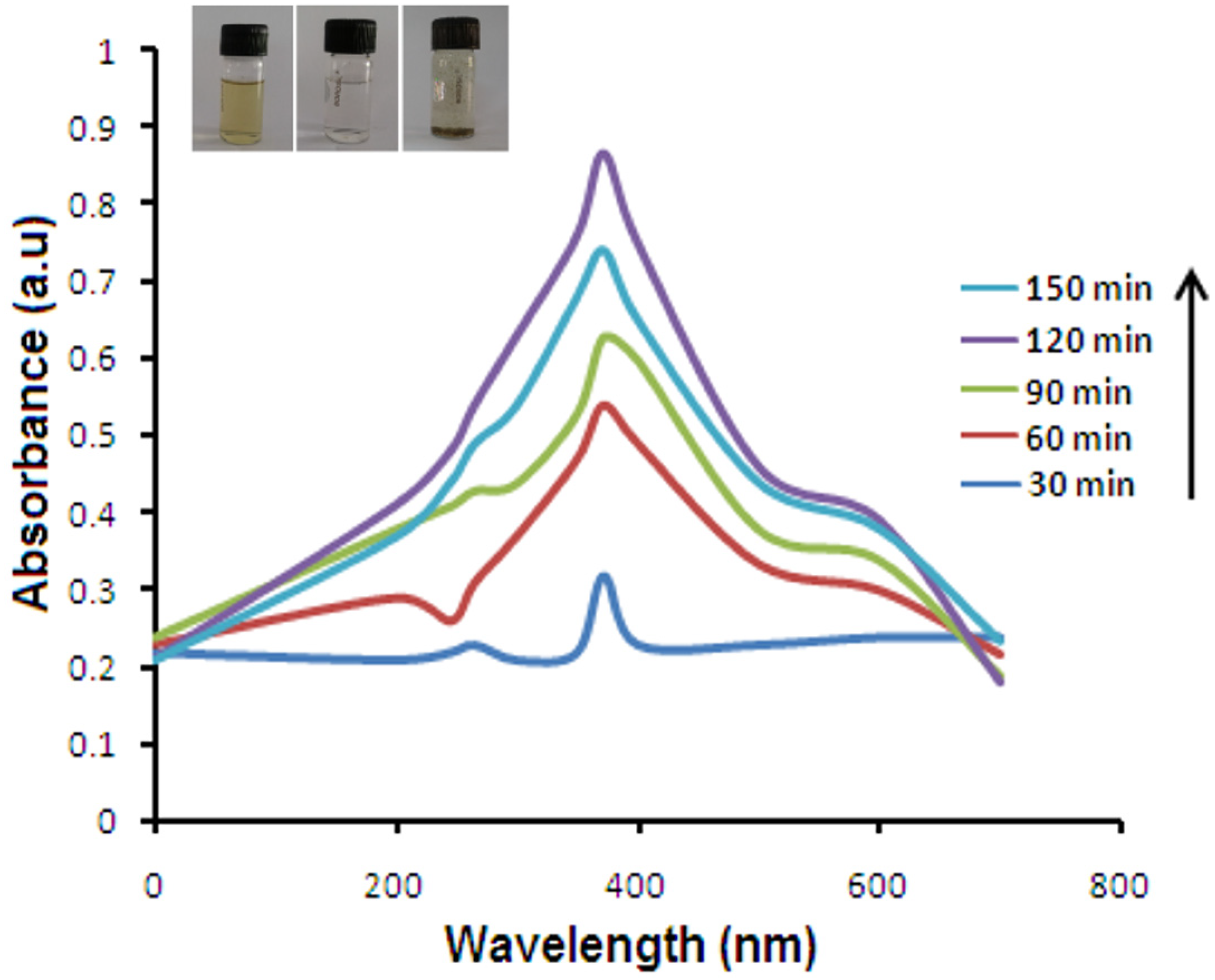 Nanomaterials 05 01317 g001