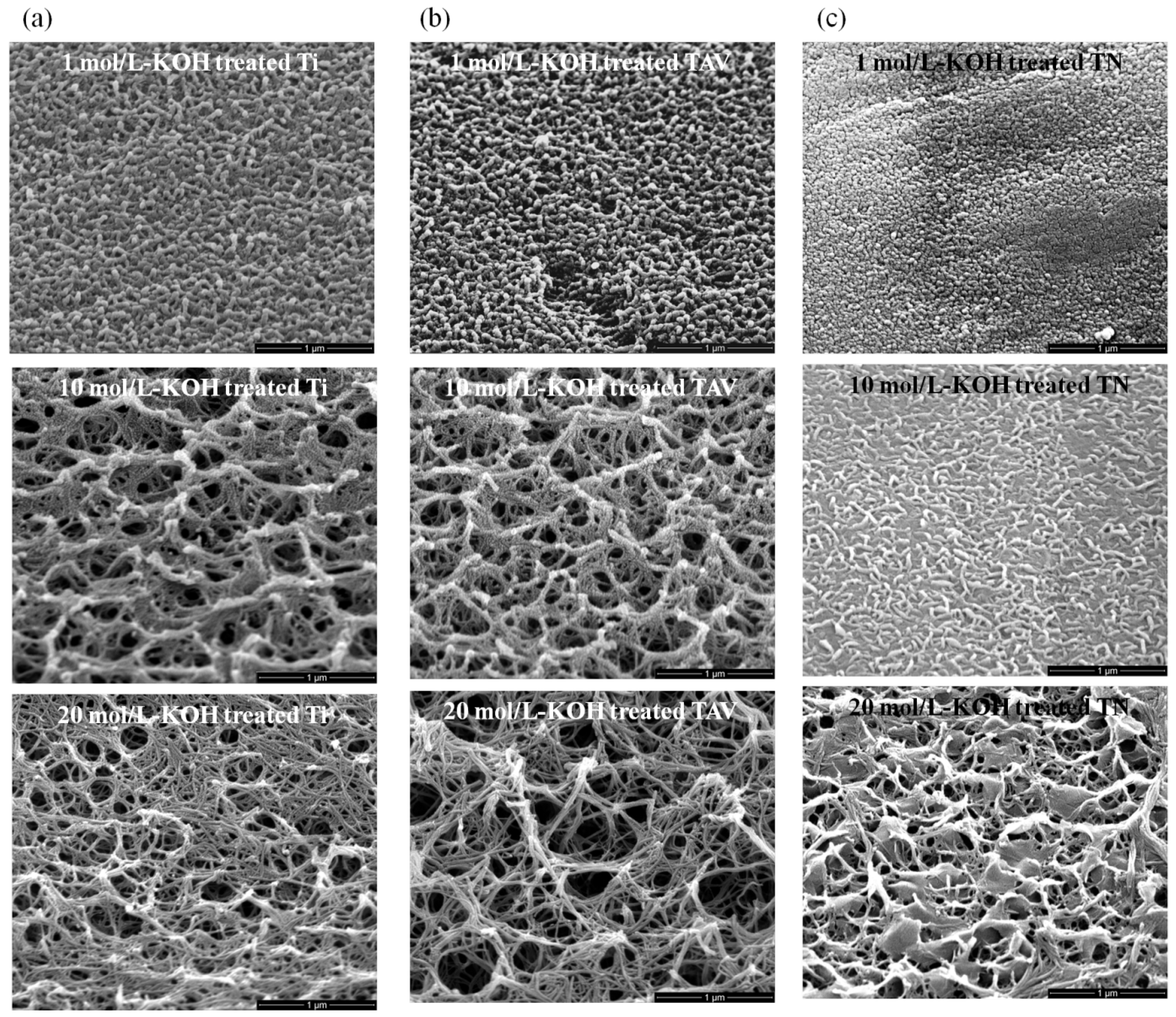 Nanomaterials 05 01397 g001