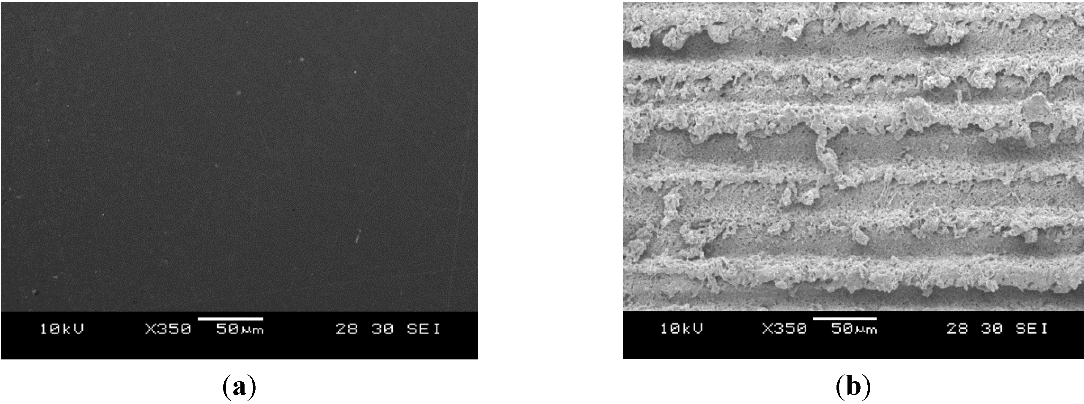 Nanomaterials 05 01442 g003a