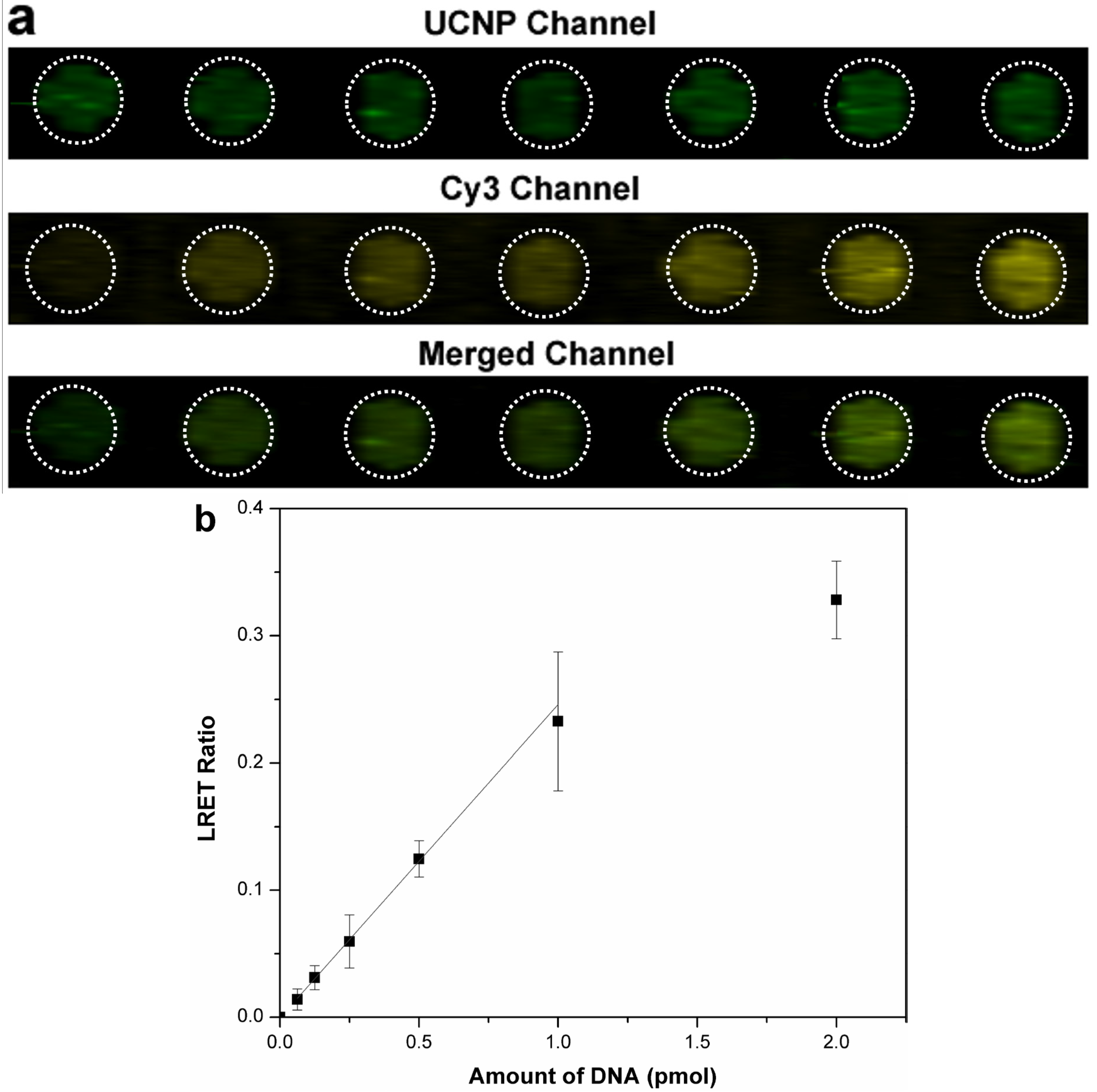 Nanomaterials 05 01556 g003