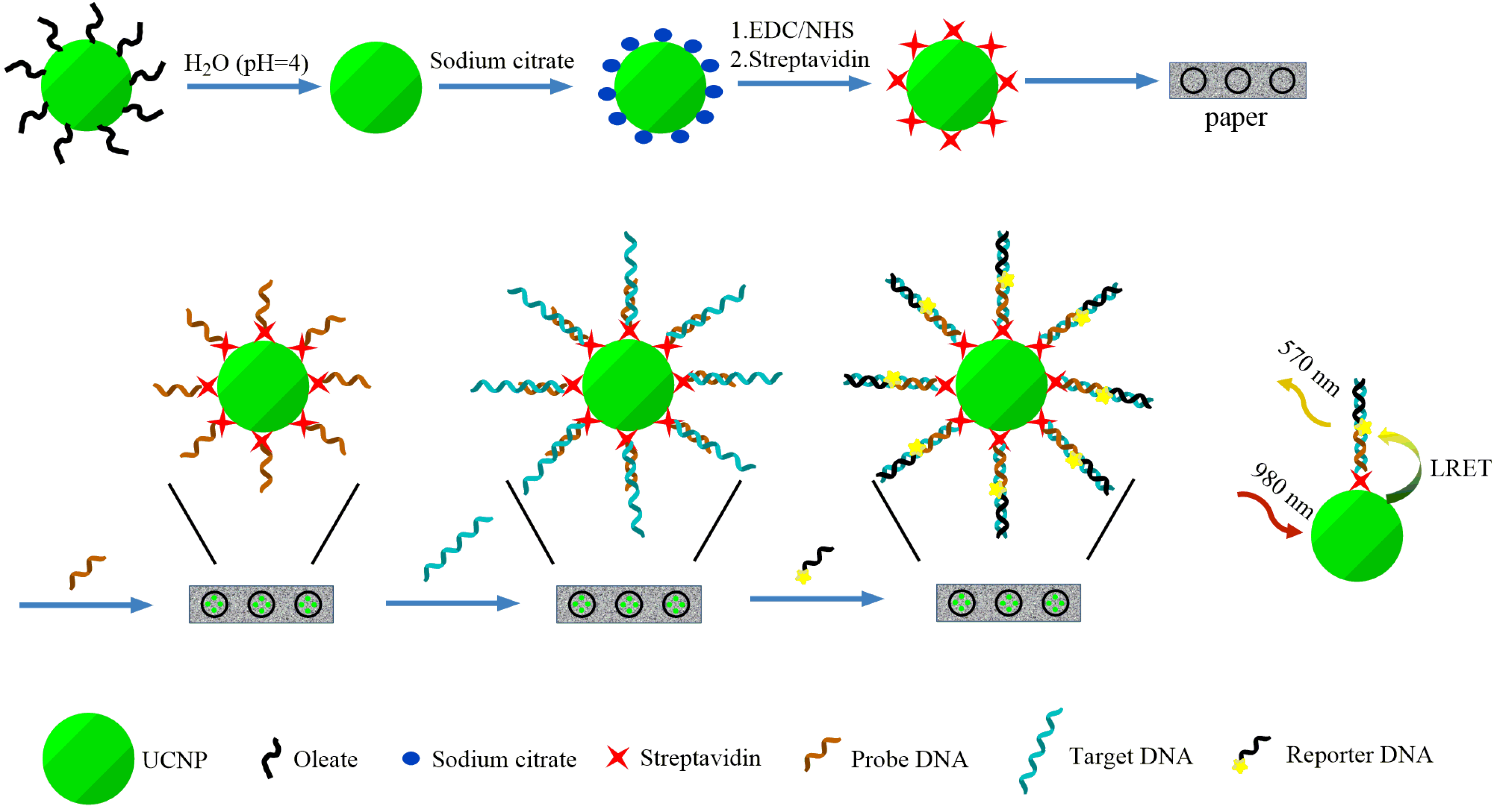 Nanomaterials 05 01556 g006