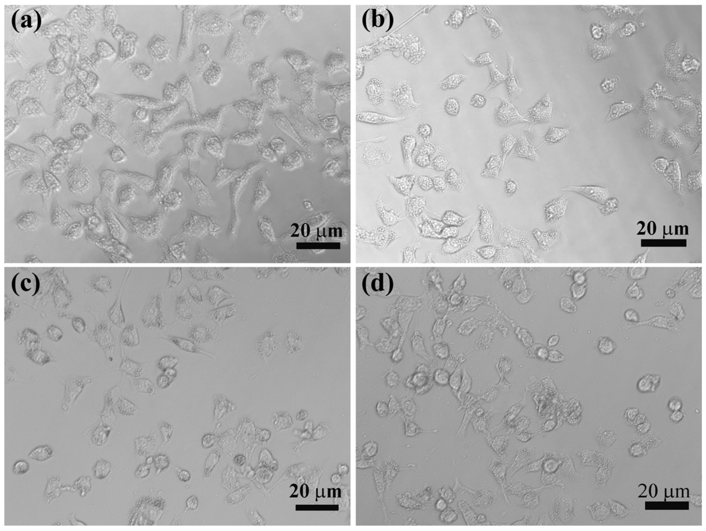 Nanomaterials 05 01716 g008