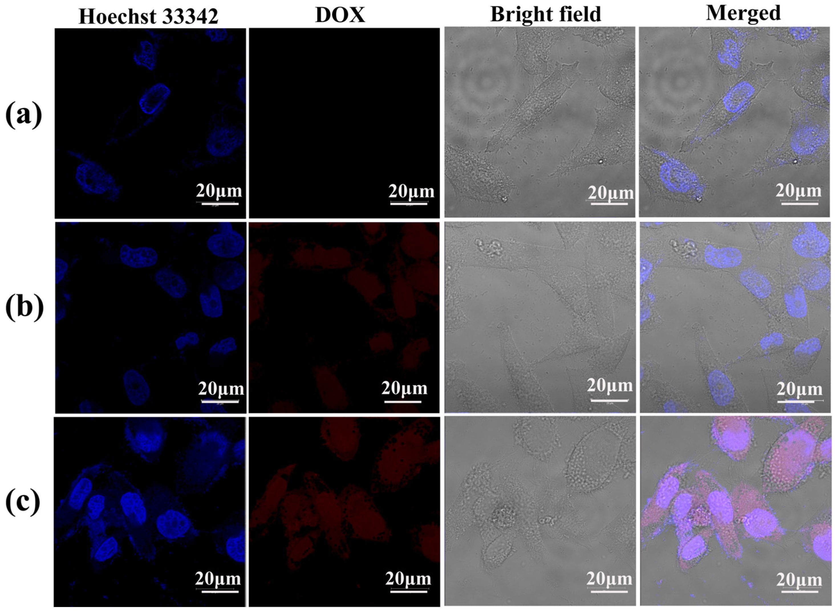 Nanomaterials 05 01716 g009