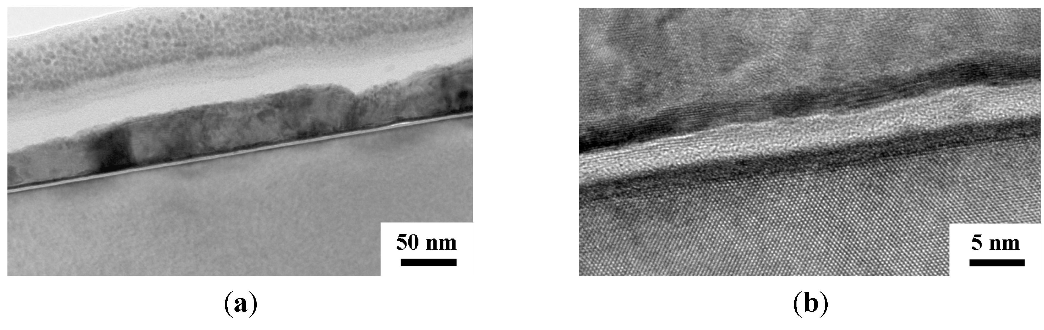 Nanomaterials 05 01840 g005