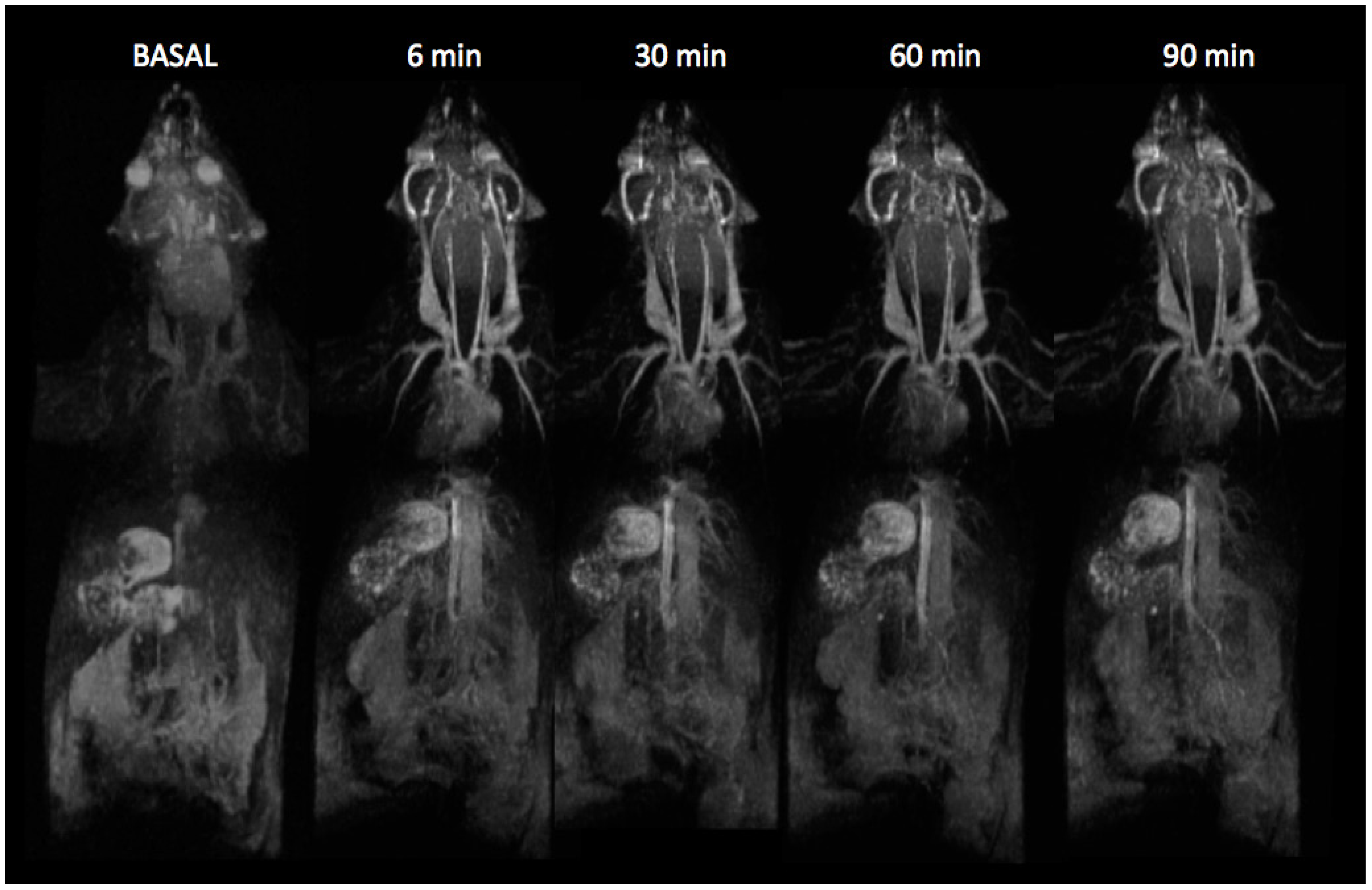 Nanomaterials 05 01880 g003