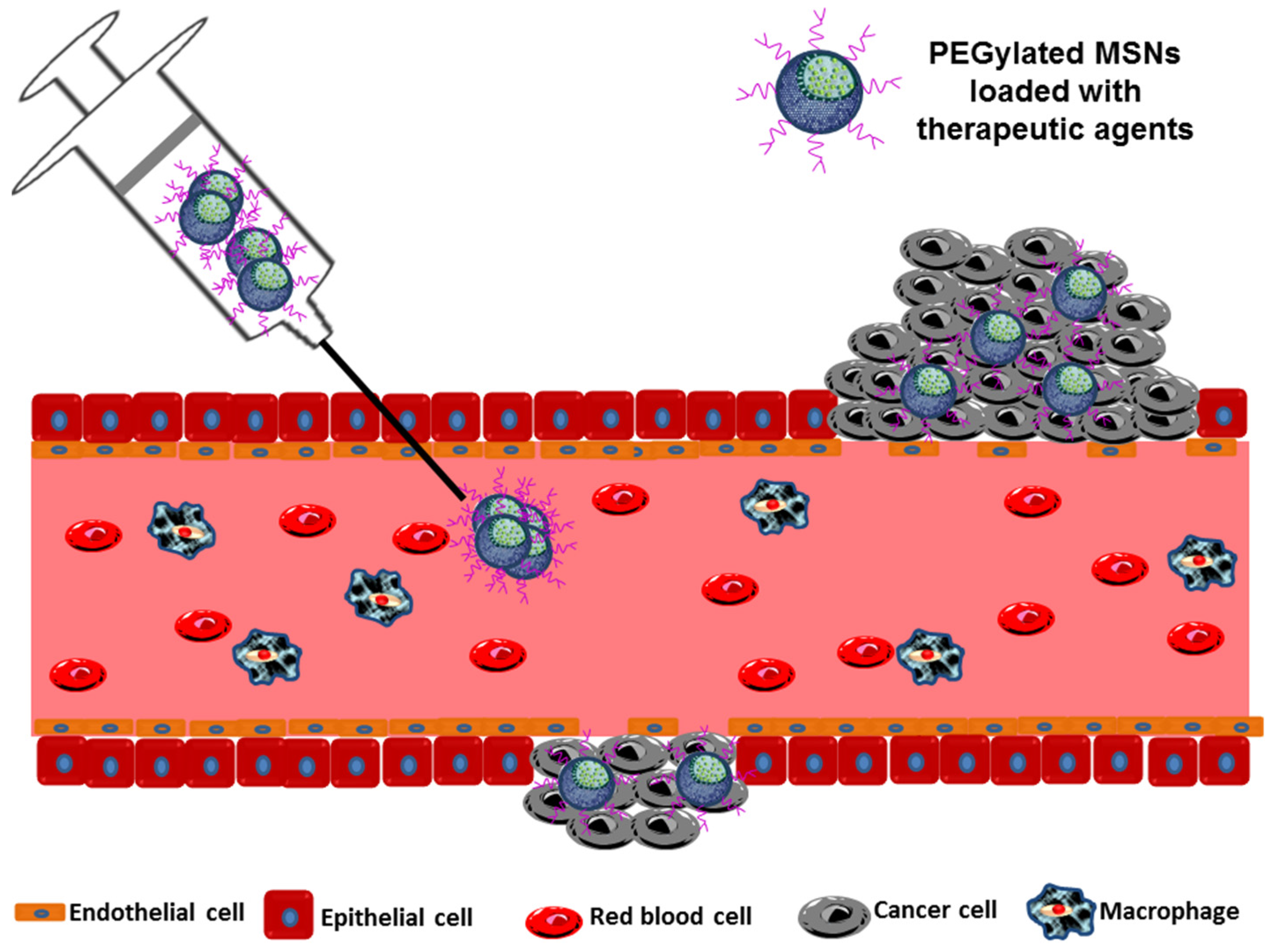 Nanomaterials 05 01906 g003