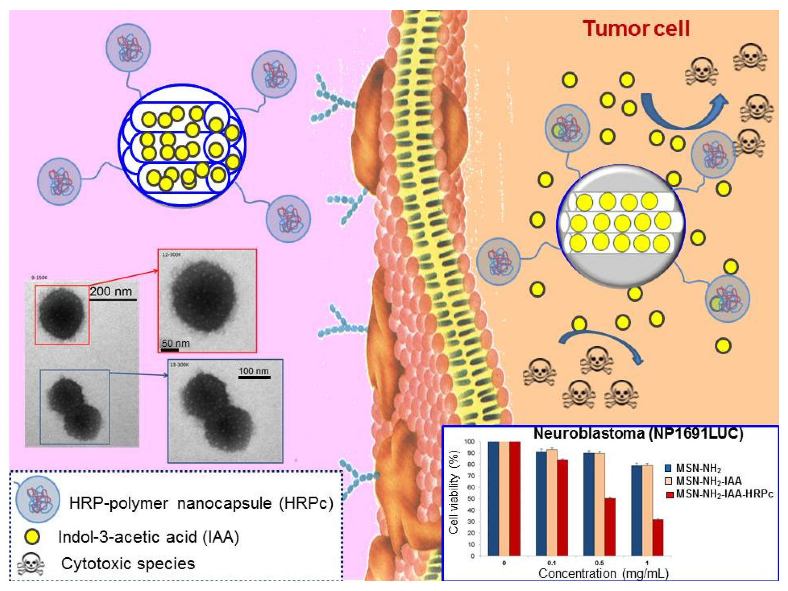 Nanomaterials 05 01906 g007