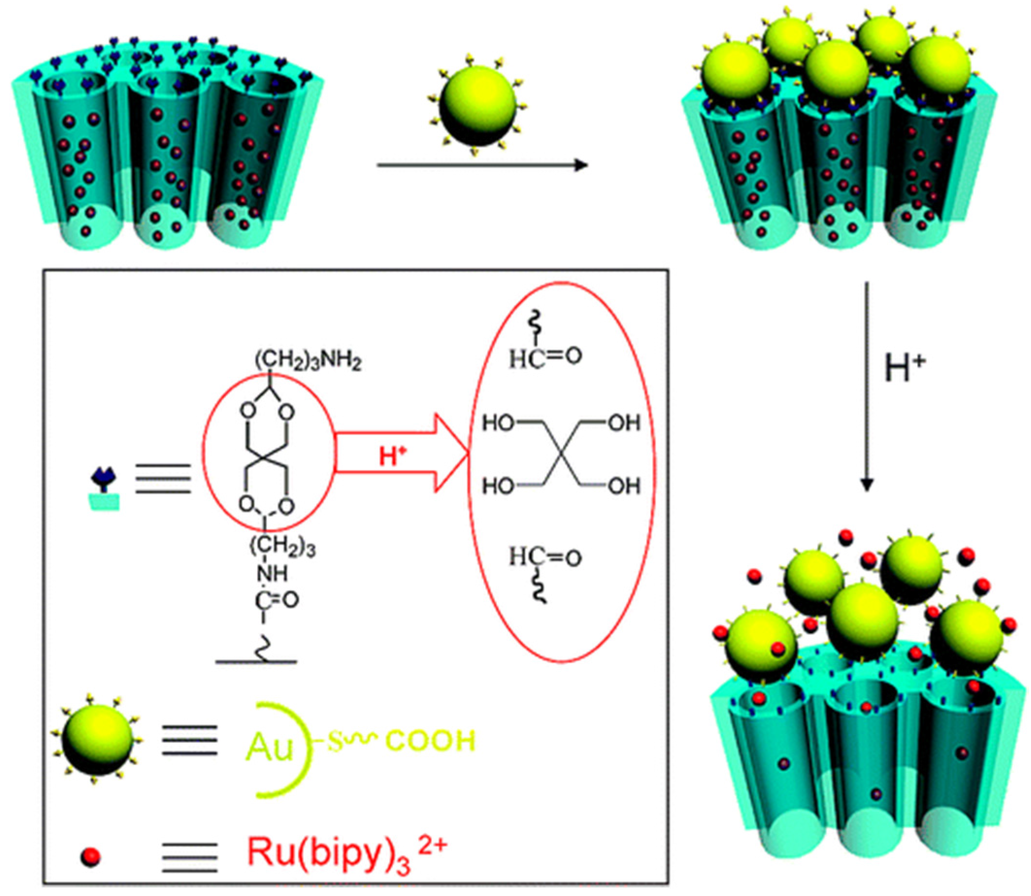 Nanomaterials 05 02019 g003