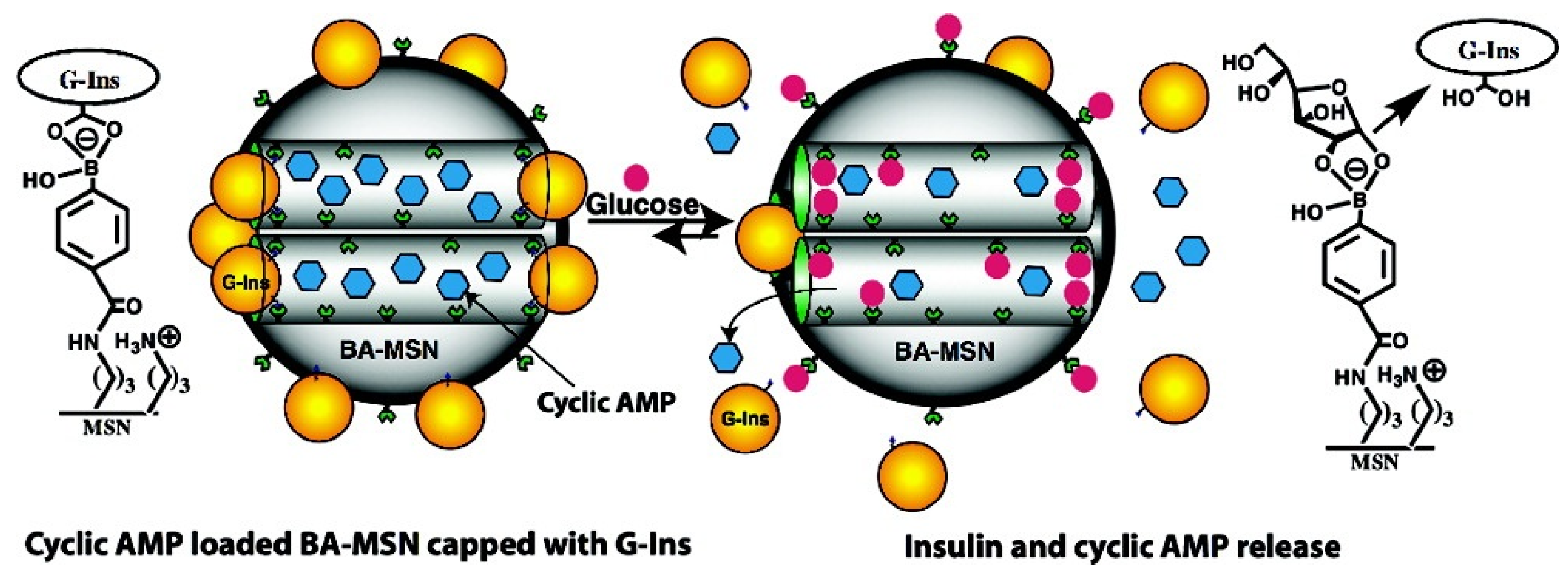 Nanomaterials 05 02019 g006