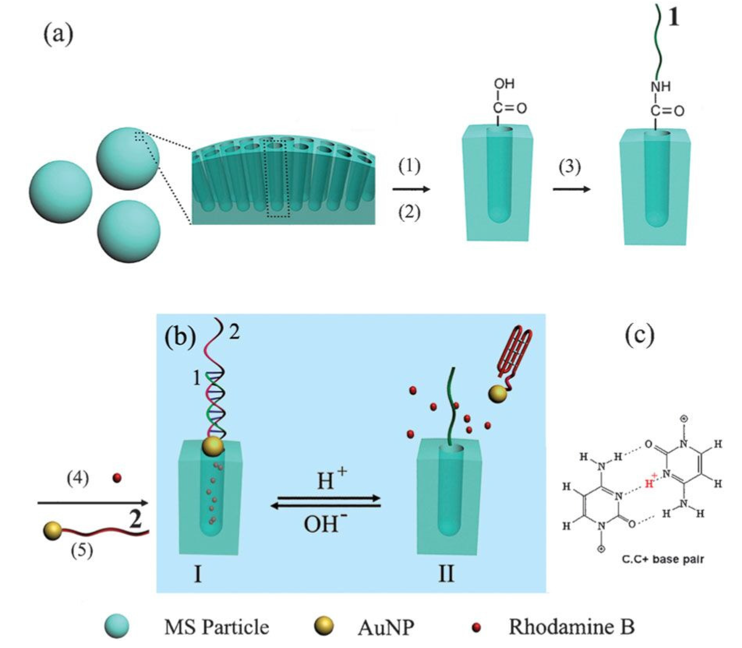 Nanomaterials 05 02019 g008